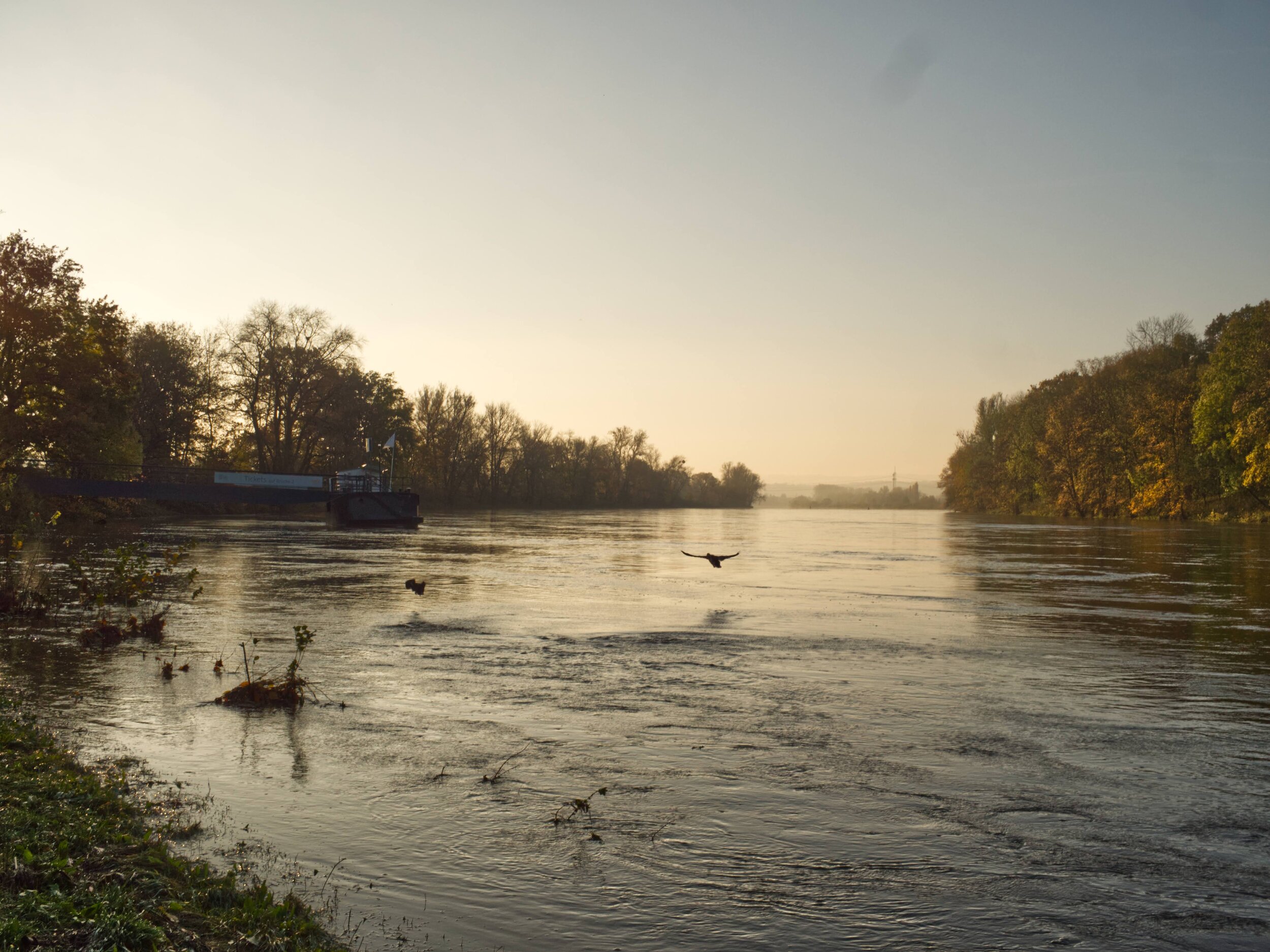 [2020_11_08] Elbe Flussaufwärts vom Schloss Pillnitz_04_edit.jpg
