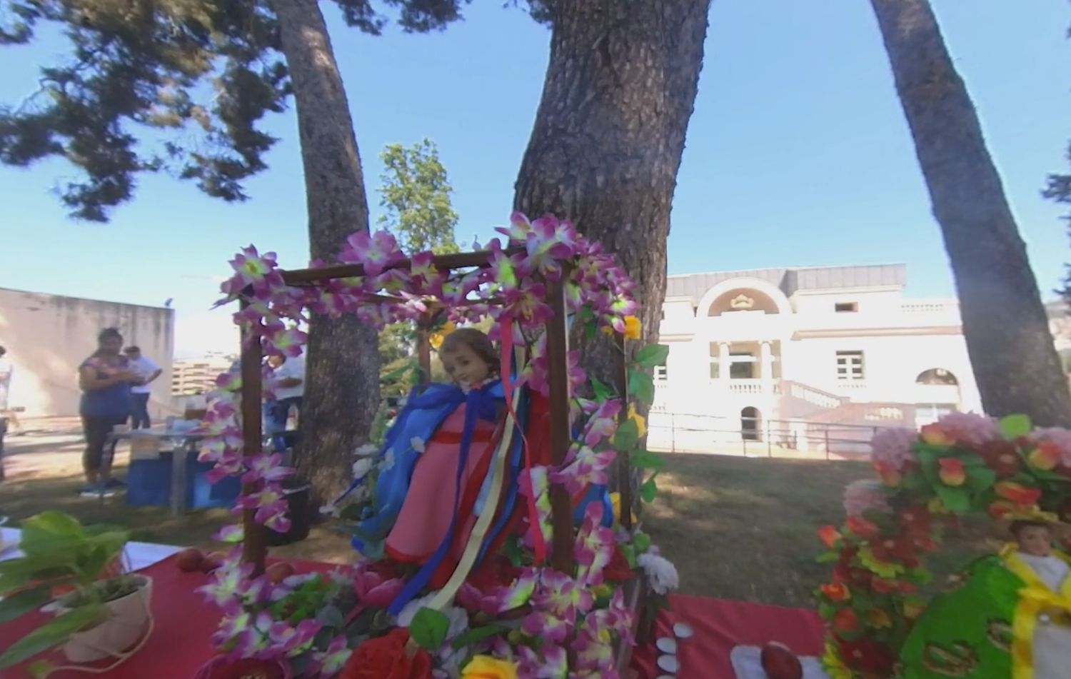 Online Articles Web Content American Anthropologist