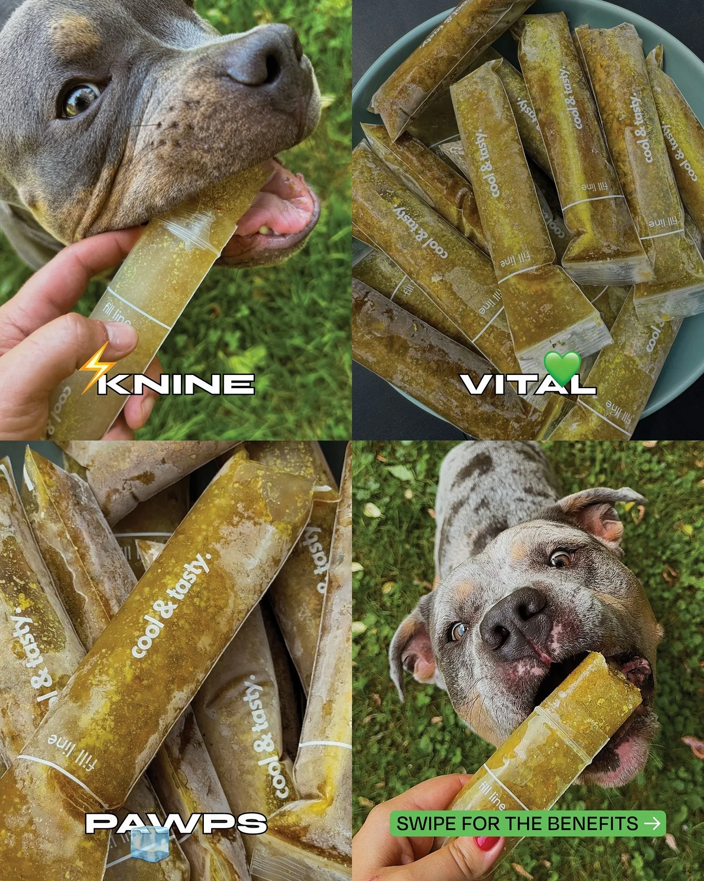 Swipe to see the benefits of our KNINE VITAL PAWPS⚡️💚🧊 
DM us to order your packs !!