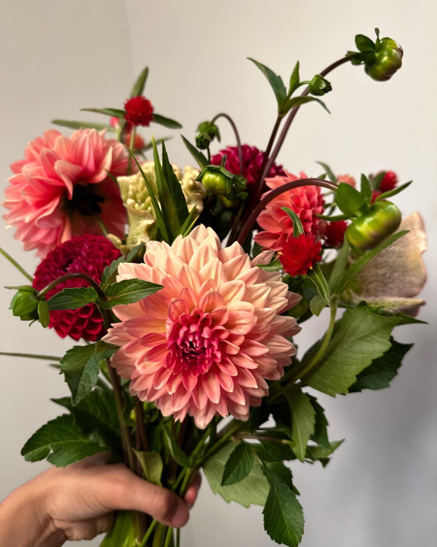 This weekend, grab some flowers over at @thecornerflemington! Fresh cut (and Luke approved 😂) bunches are ready for your Labor Day weekend. 💃🏻

Limited quantities - get them before they&rsquo;re gone! 💐