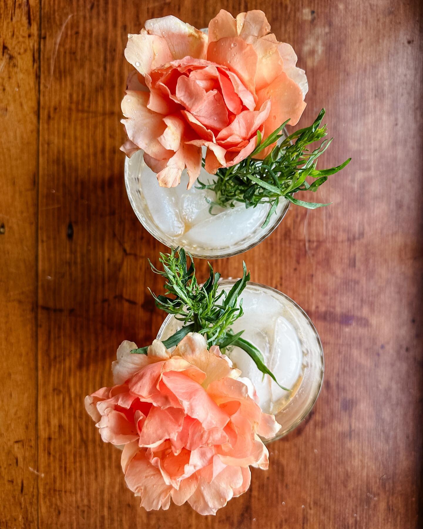 Fresh picked &ldquo;Garden Party&rdquo; cocktail! 🤤🤩

I love going out and picking flowers, fruits and herbs from our farm and gardens to flex my mixology muscles.

Want my full Garden Party recipe? Comment below and I&rsquo;ll send it to you! 🍹