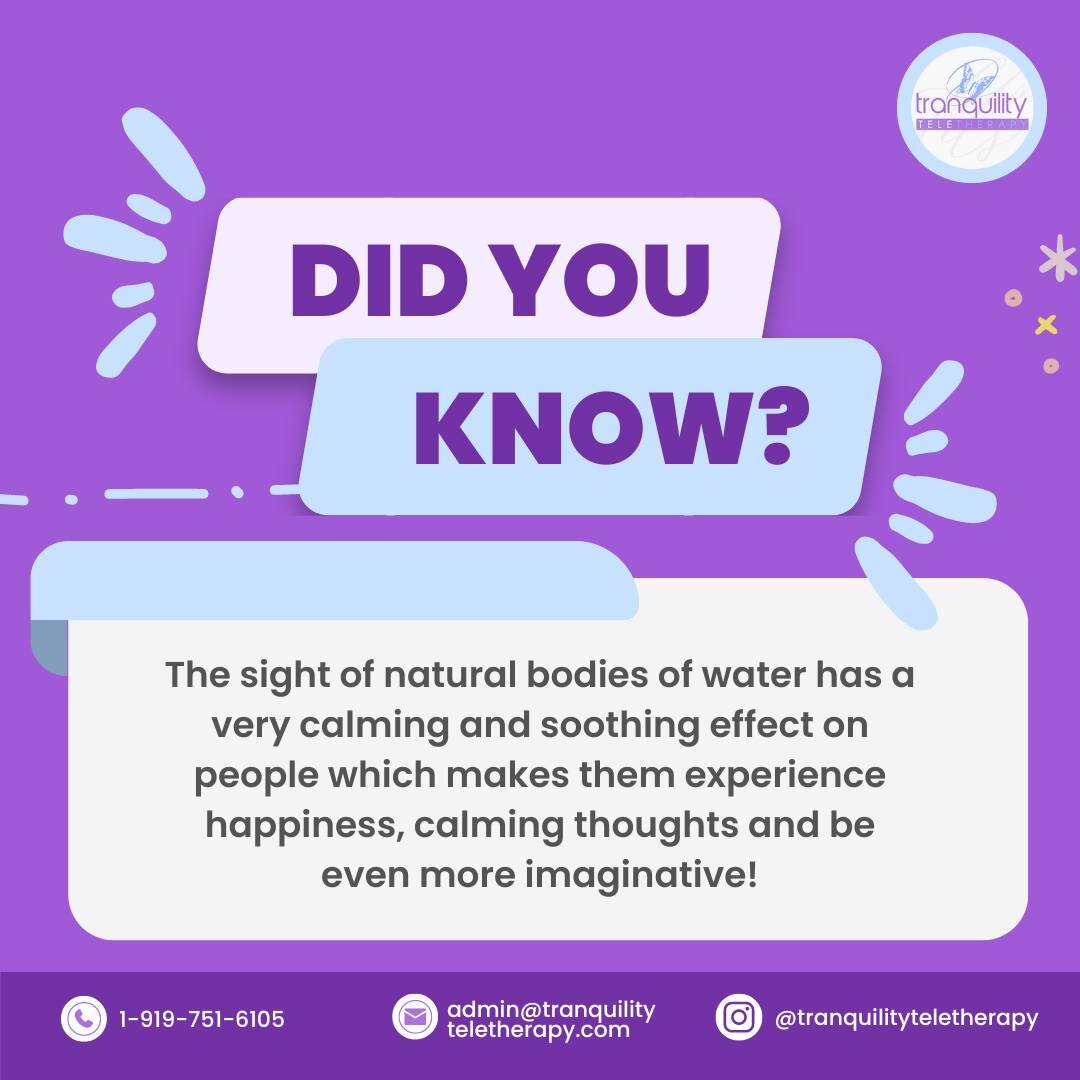It is no surprise that lakes and rivers have always been the main source of inspiration for artists, poets and musicians. A walk along the shore or a swim in the sea can provide you with a great mood booster!

The water also helps to relieve stress, 