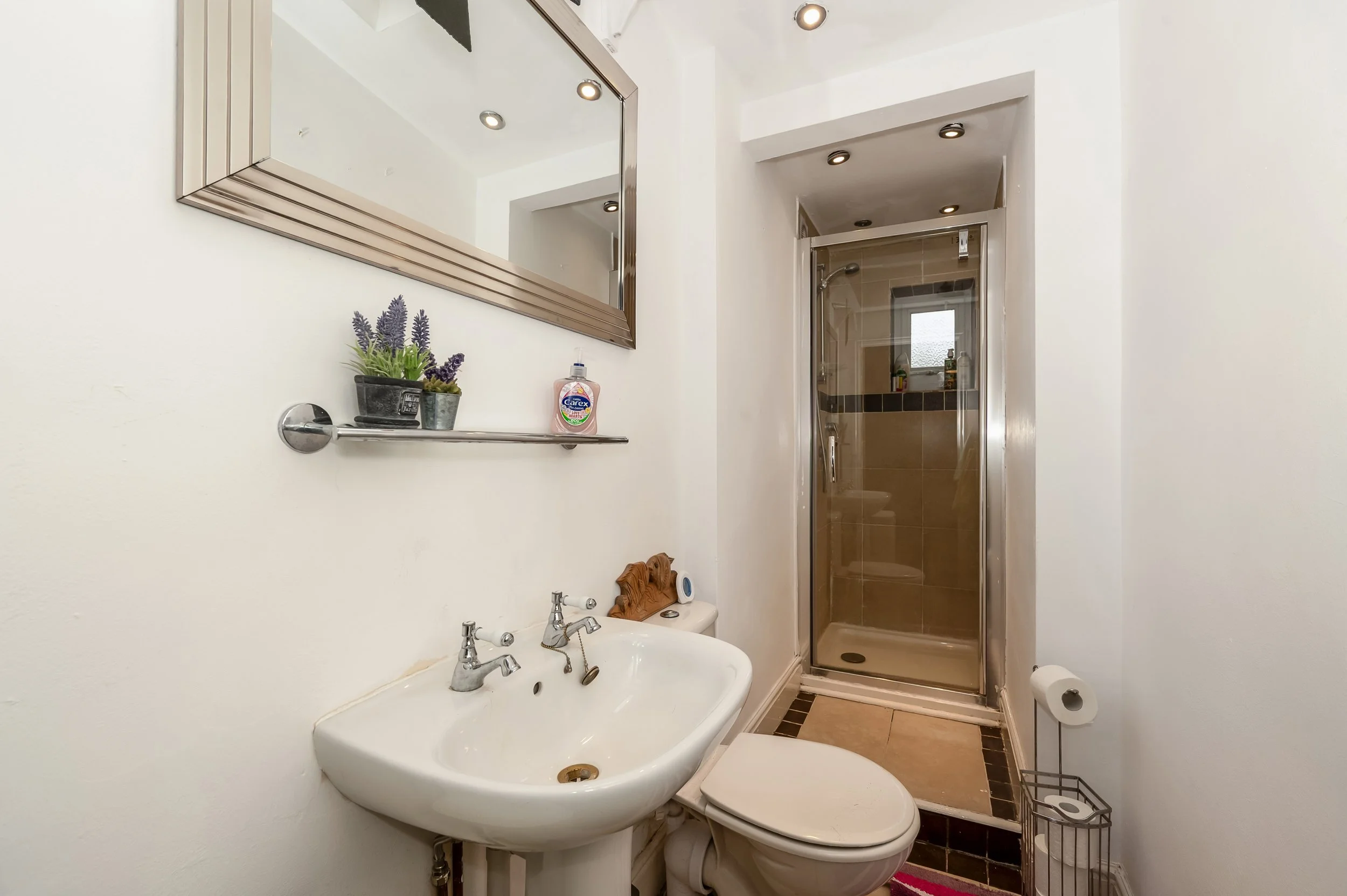 Downstairs Bathroom.jpg