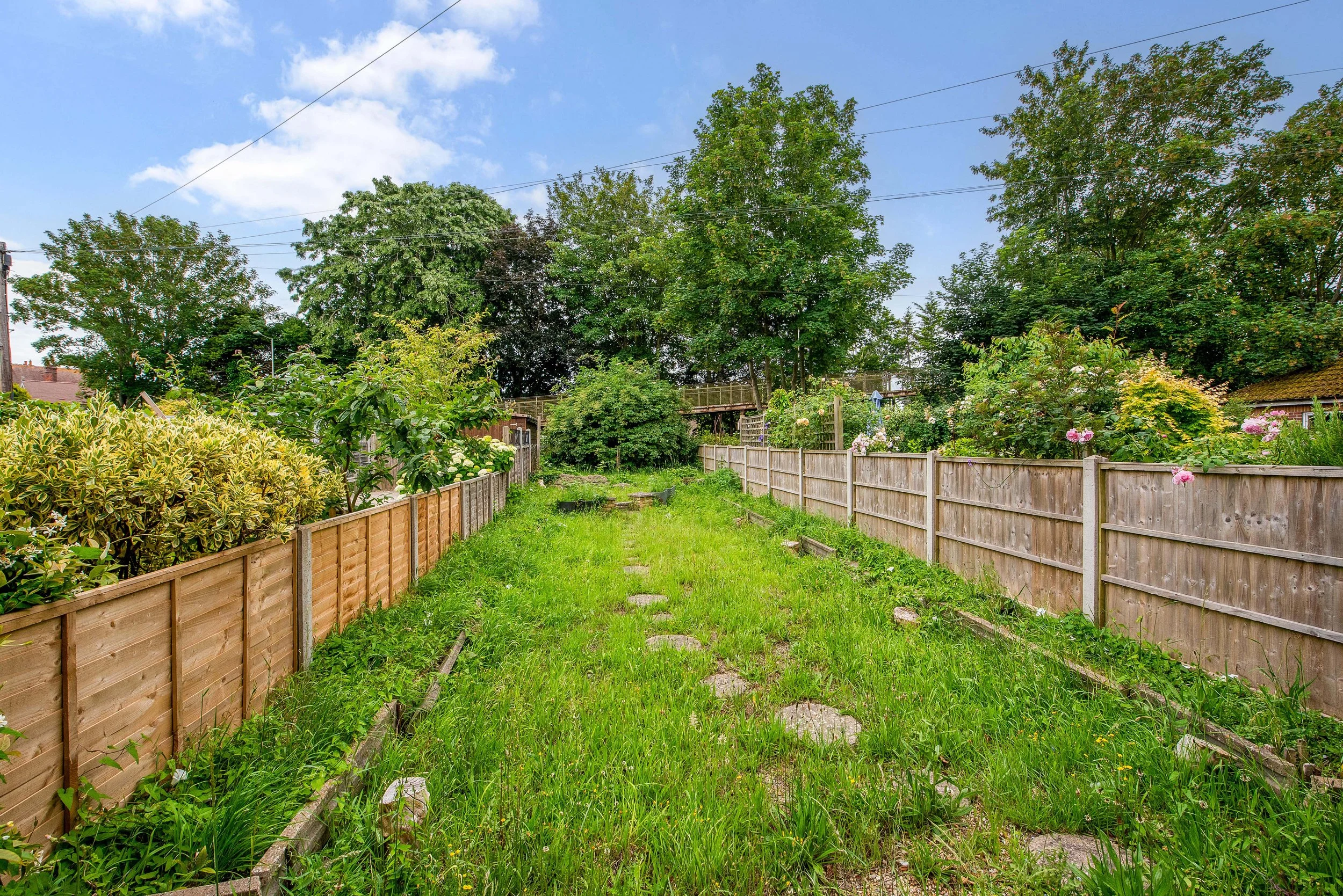 garden south.jpg