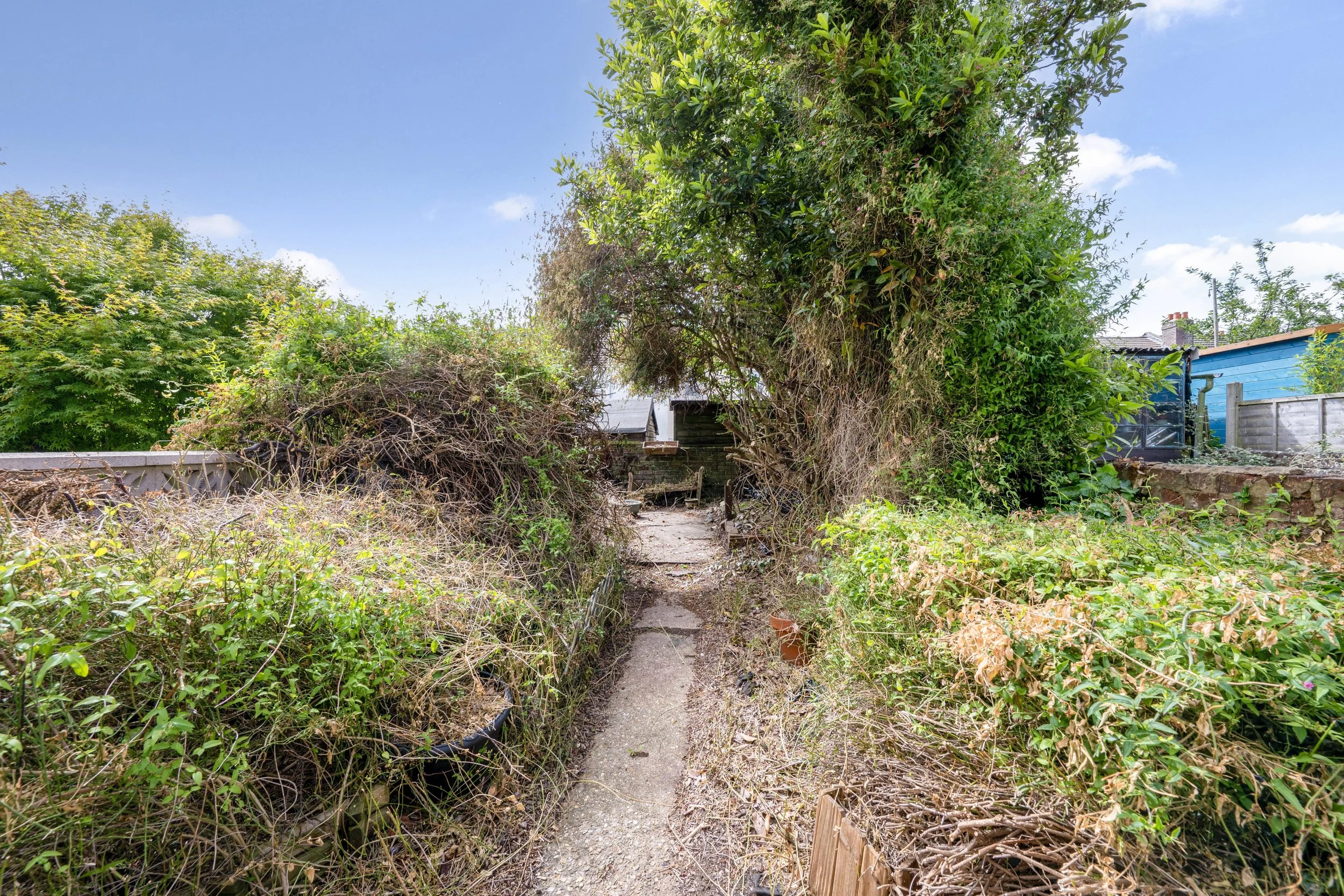 garden 2.jpg