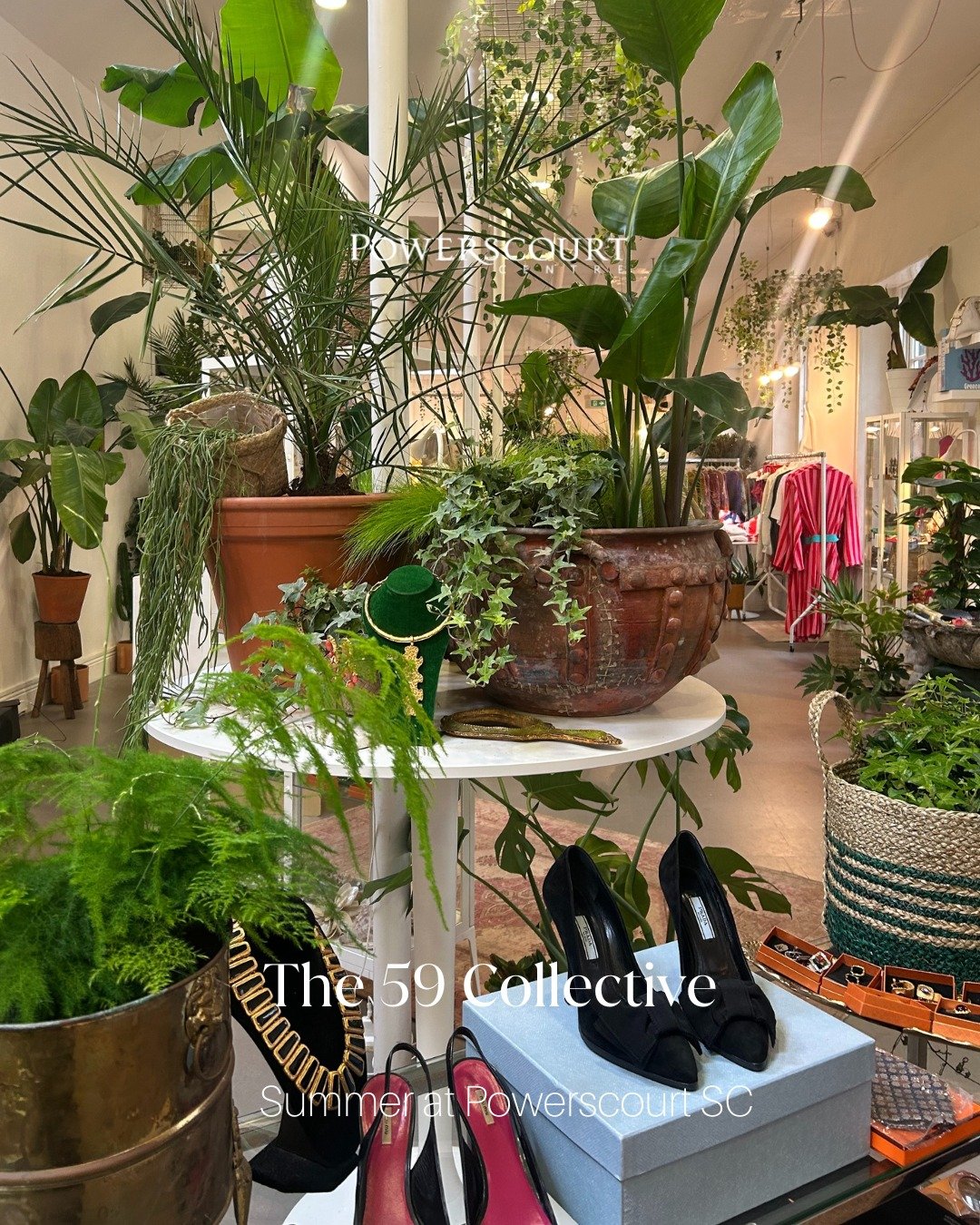 Step into creativity at The 59 Collective, a dynamic showcase of Irish designers, rotating artists, and independent brands, now open on the top floor of Powerscourt Townhouse.

Explore one-of-a-kind pieces, meet the makers, and take home something tr