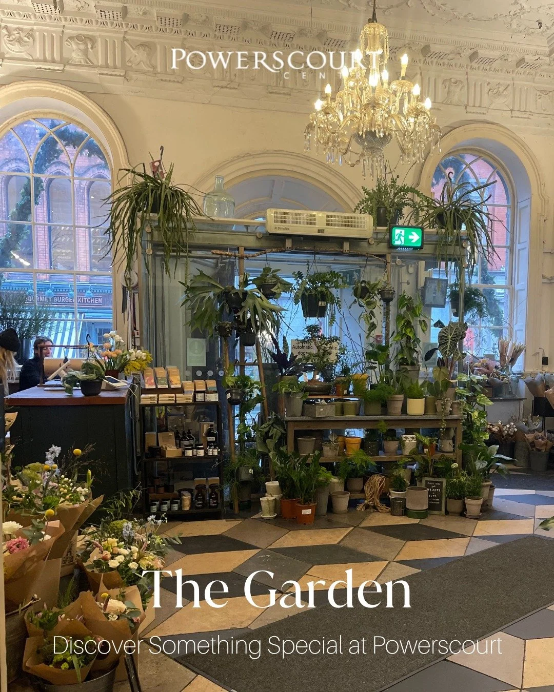 Spring has sprung at Powerscourt Townhouse Centre 🌸

Discover fresh seasonal bouquets, delicate dried arrangements, and beautiful pieces to refresh your home at @shopthegarden

Step into The Garden and bring a little spring to your home this Februar
