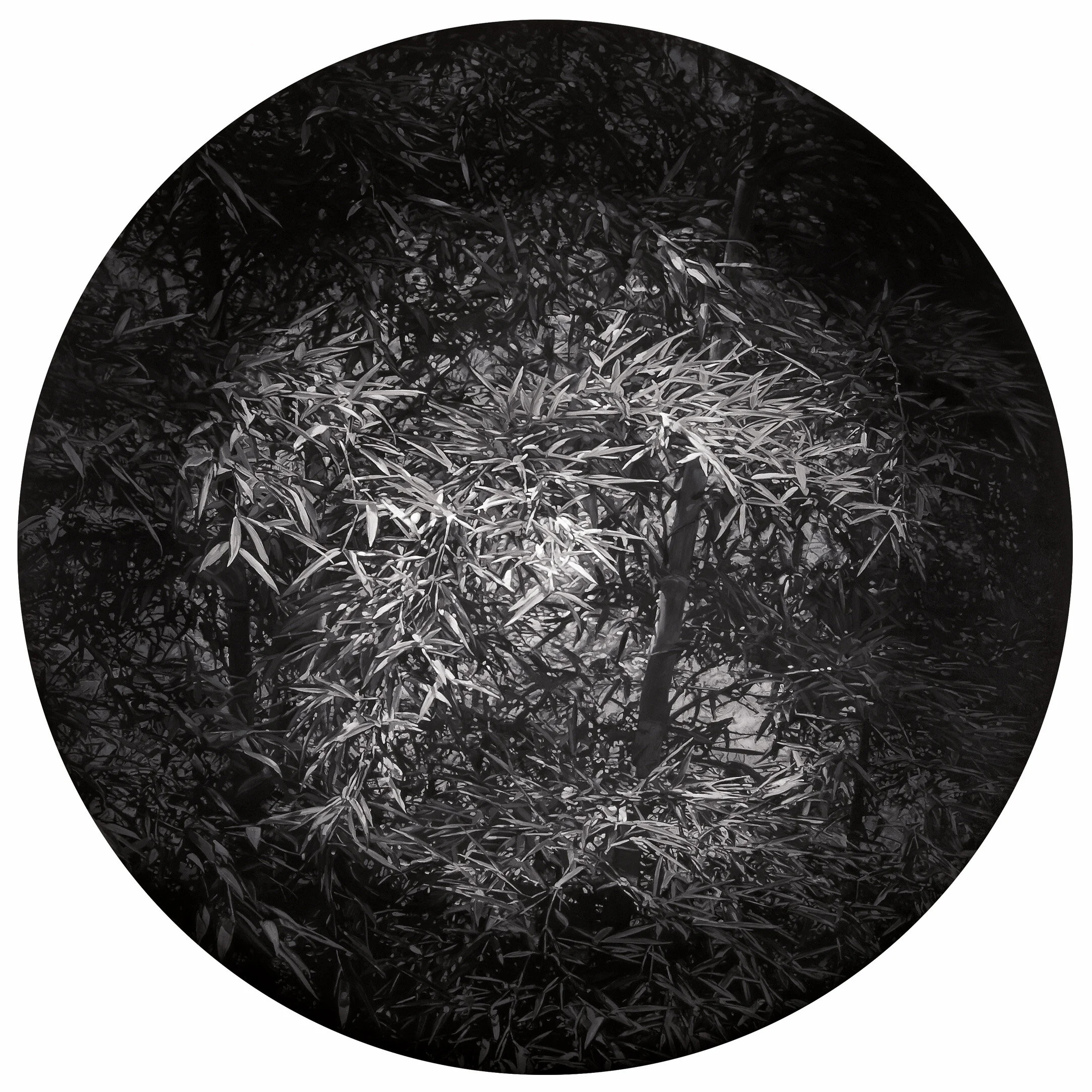 竹•古瓷 1號, 200厘米 x 150厘米, 布面油画, 2010。