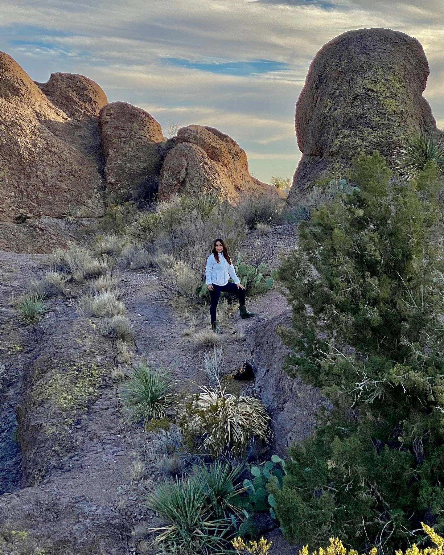 Happy New Year! 

As many of you know, we have been in the process of building a permanent home for Colour Bar. If you&rsquo;ve seen the building, you know we opted for a green stucco tone. Why green? 

One of my favorite things about living in NM is