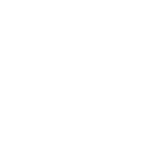 Checkpoint Mastering