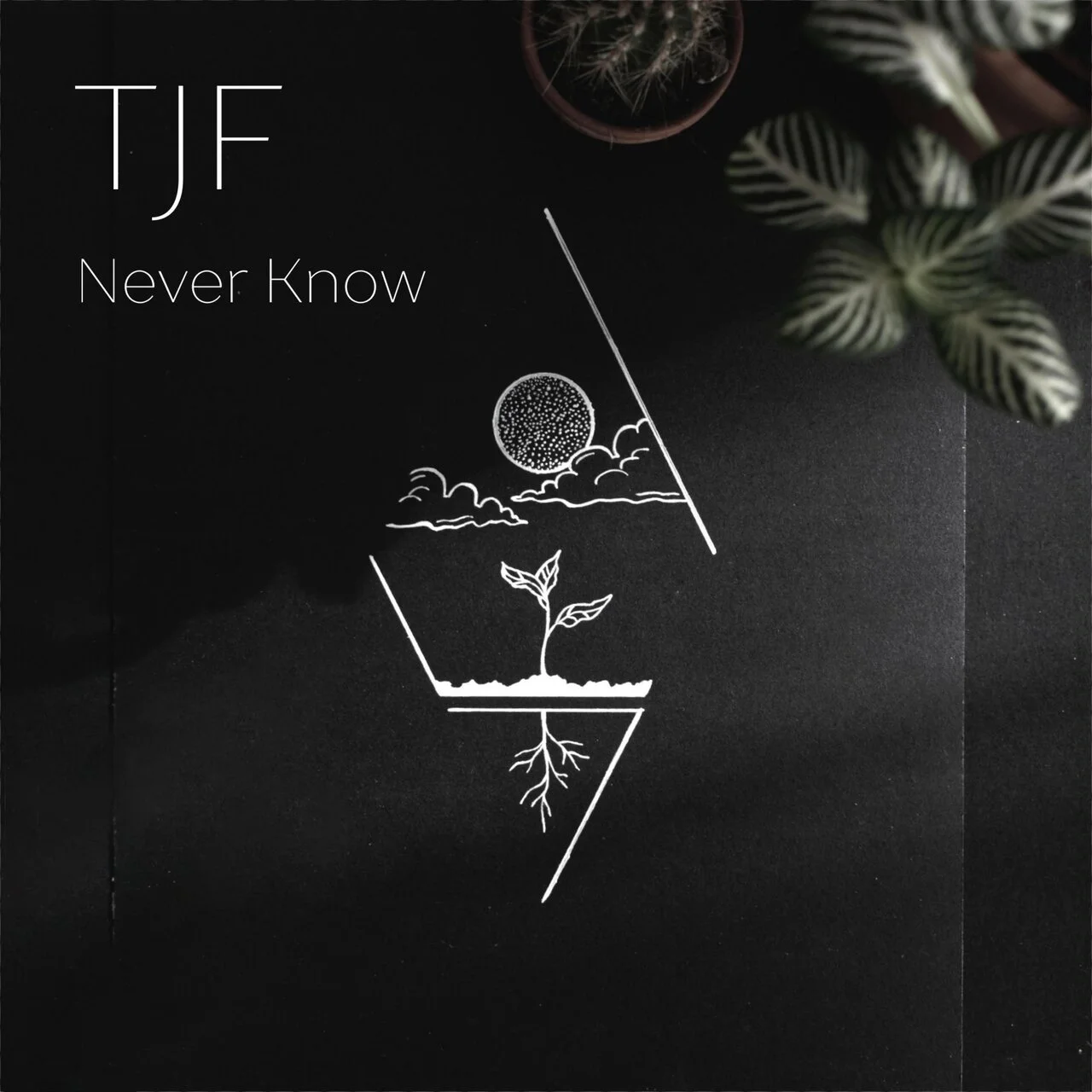 Black background with white line art of a potted plant, clouds, a sun or moon, and roots extending downward. Text reads "TJF" and "Never Know" in the top left corner.