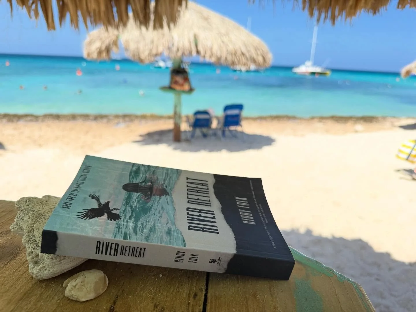 What an idyllic place to read a book. Aruba doesn&rsquo;t suck. I hope you enjoyed it Jenn! ☀️🏝️📖