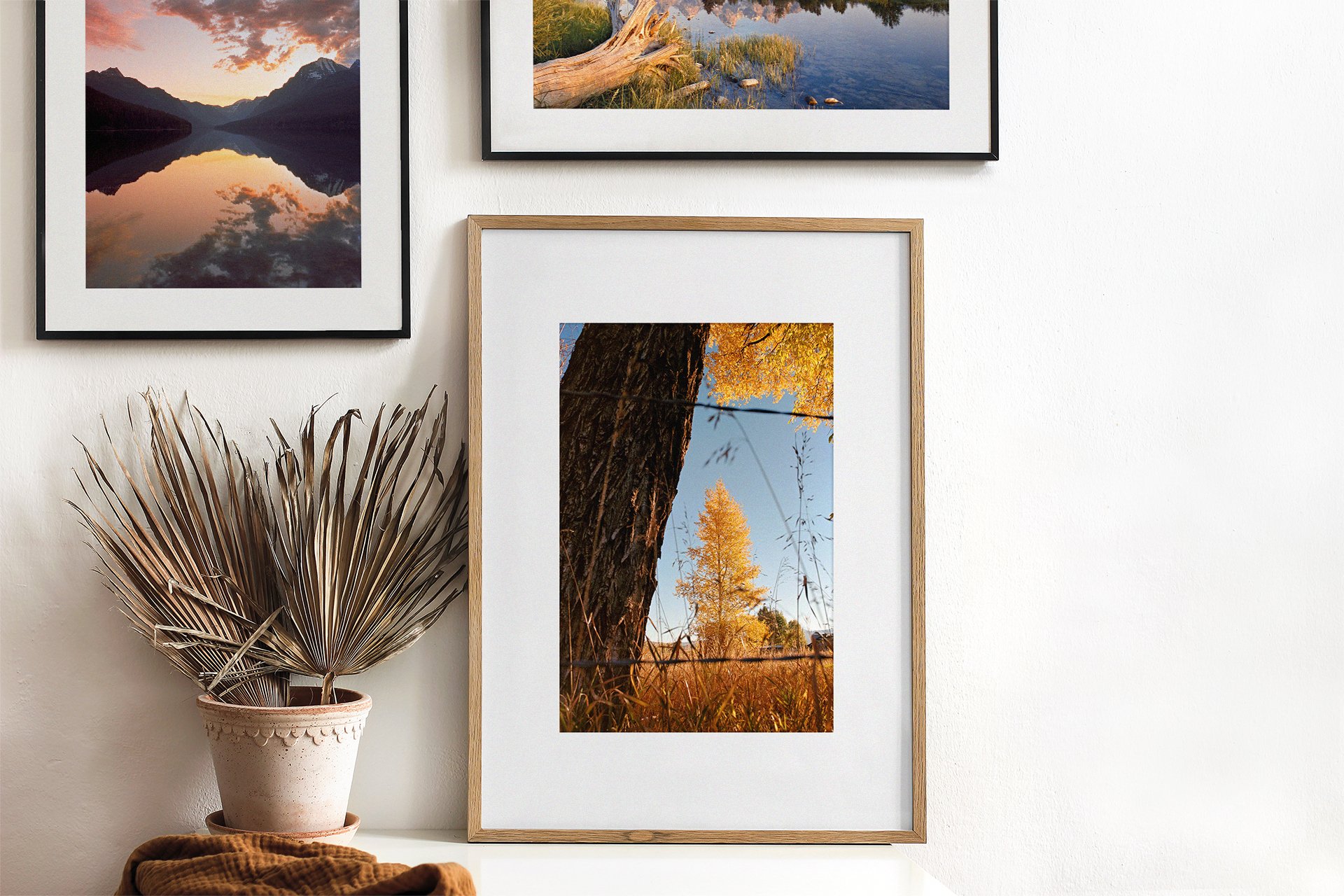 3-frames-vertical-film.jpg