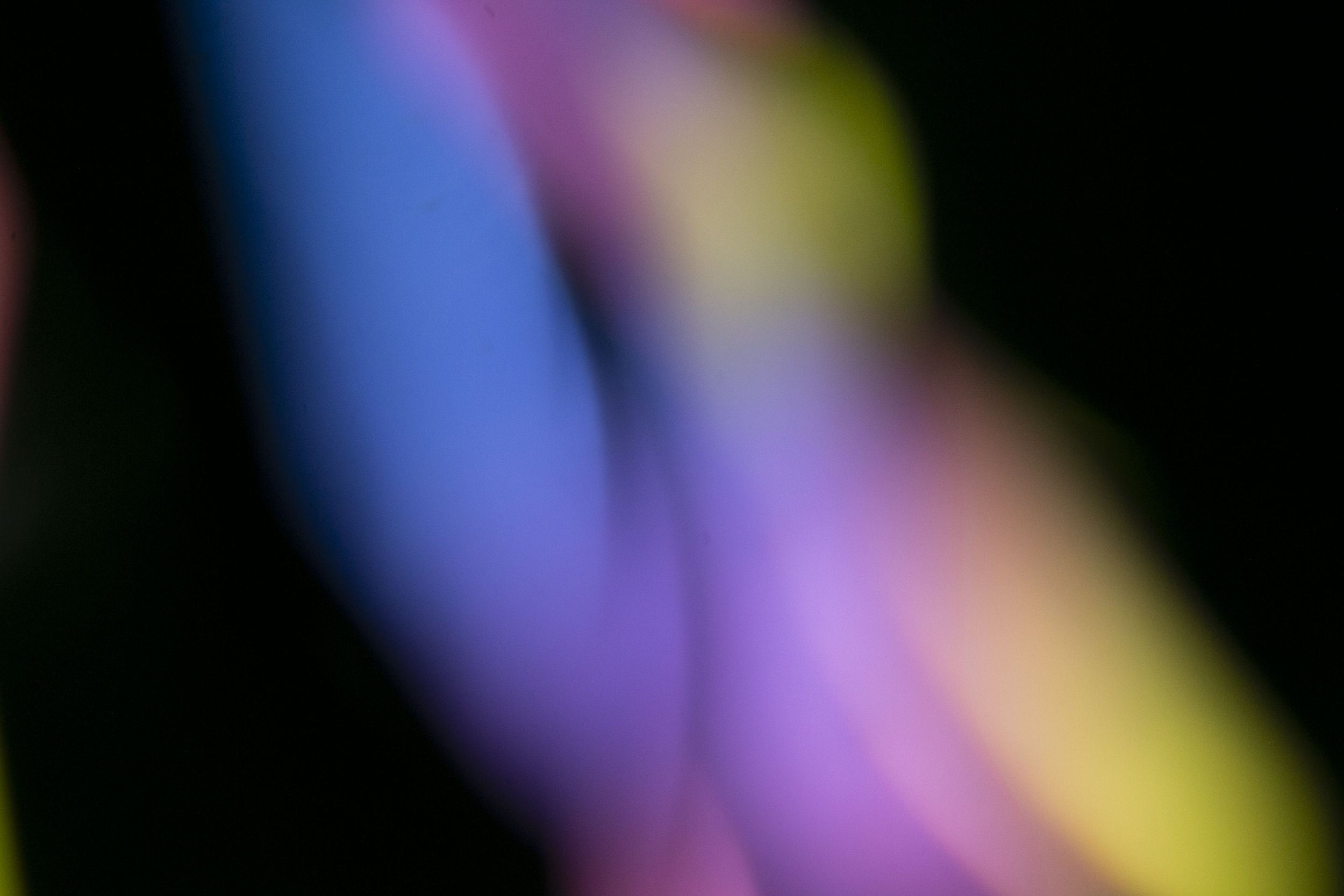 Hallucinogenic23.jpg