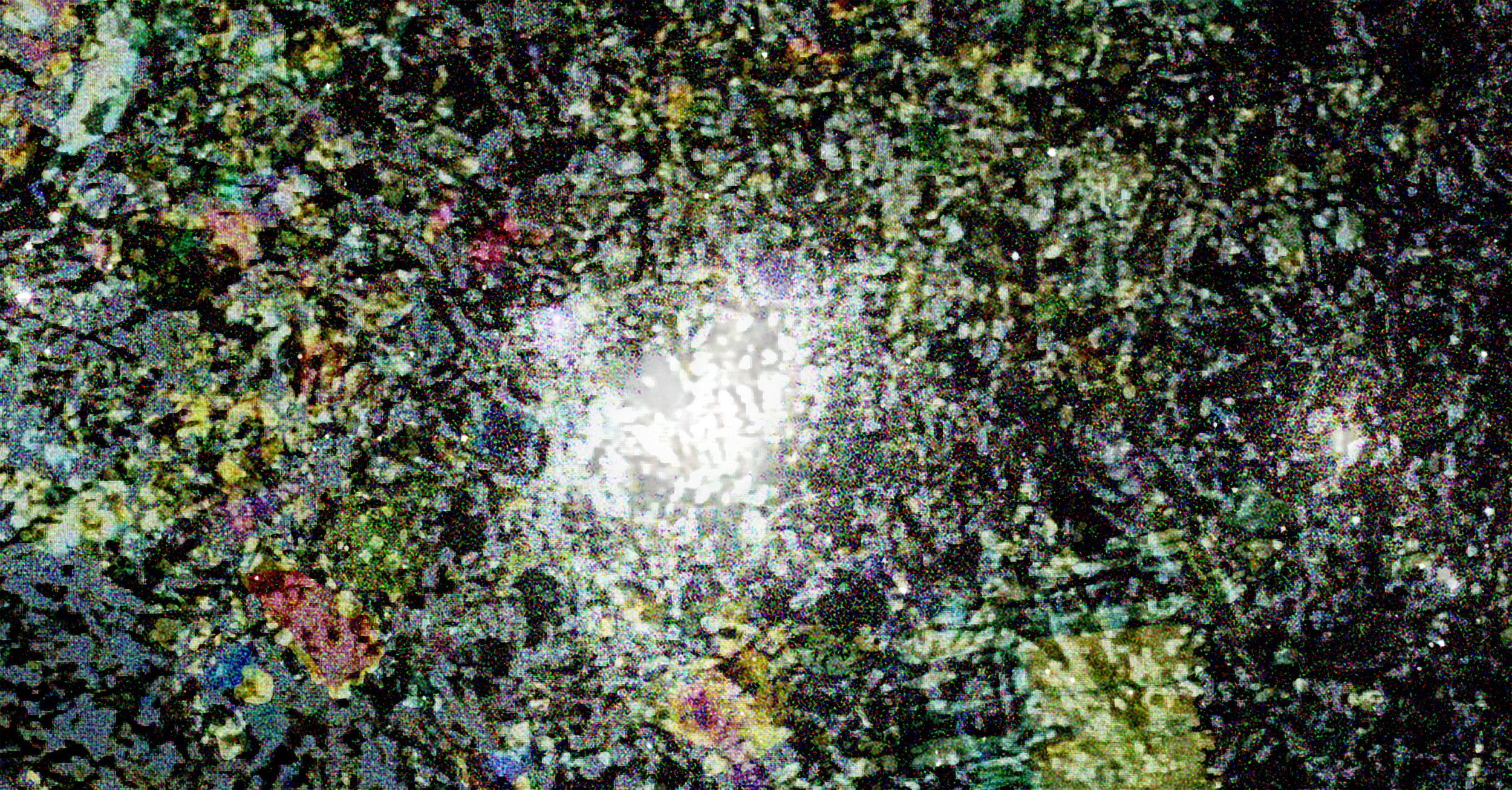 Berger_Sam_Poikilitic_Spring2024.jpg