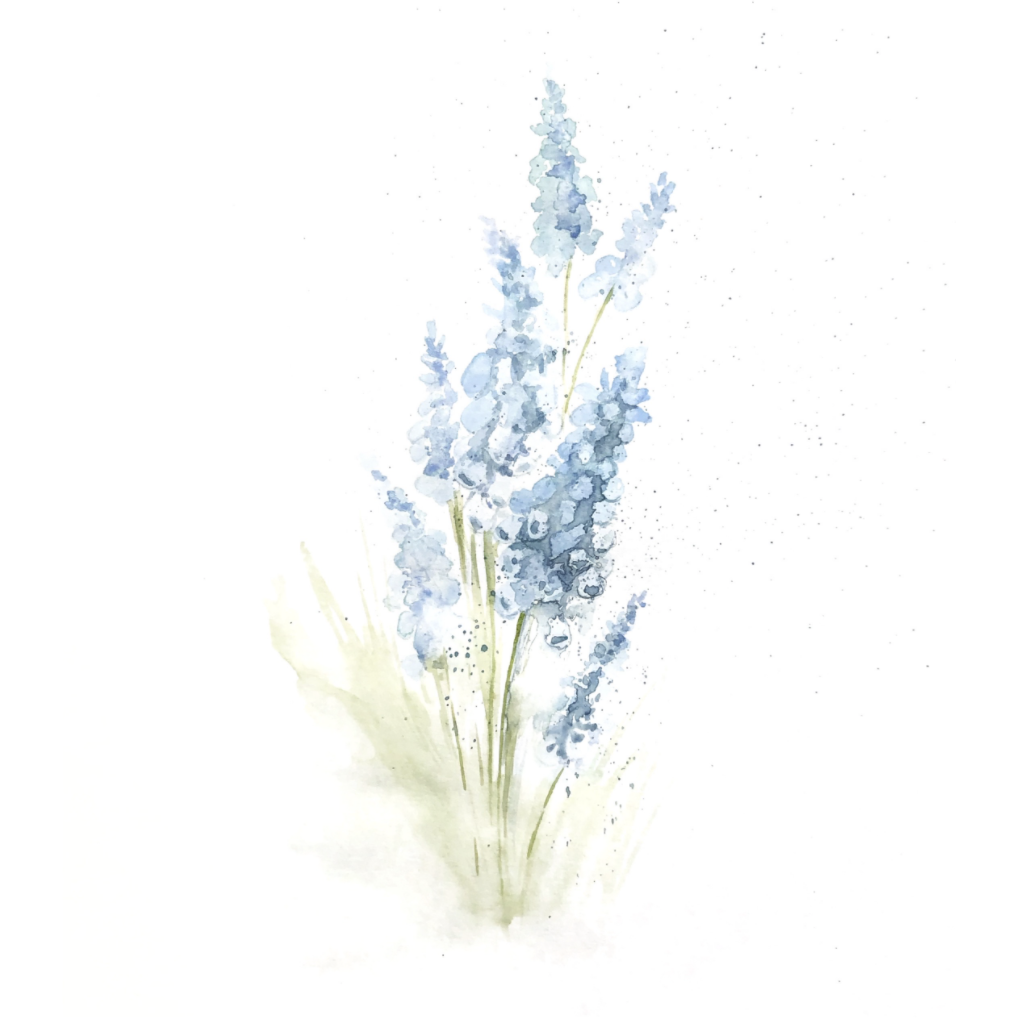 Group Program | Learn Body Literacy 