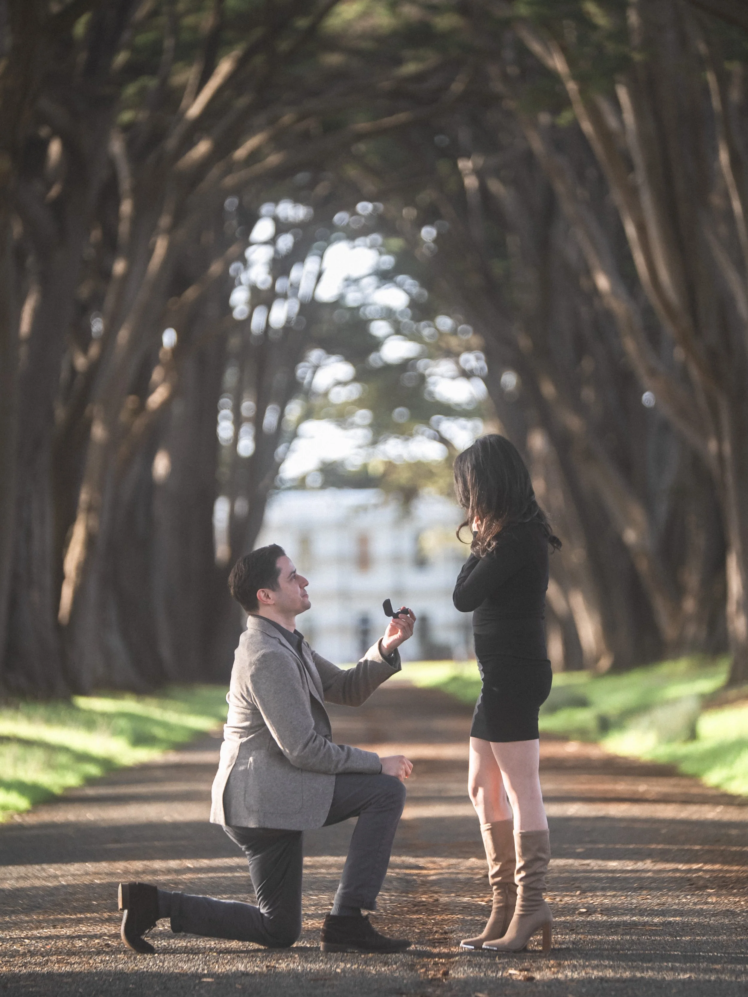 The Surprise Proposal Experience