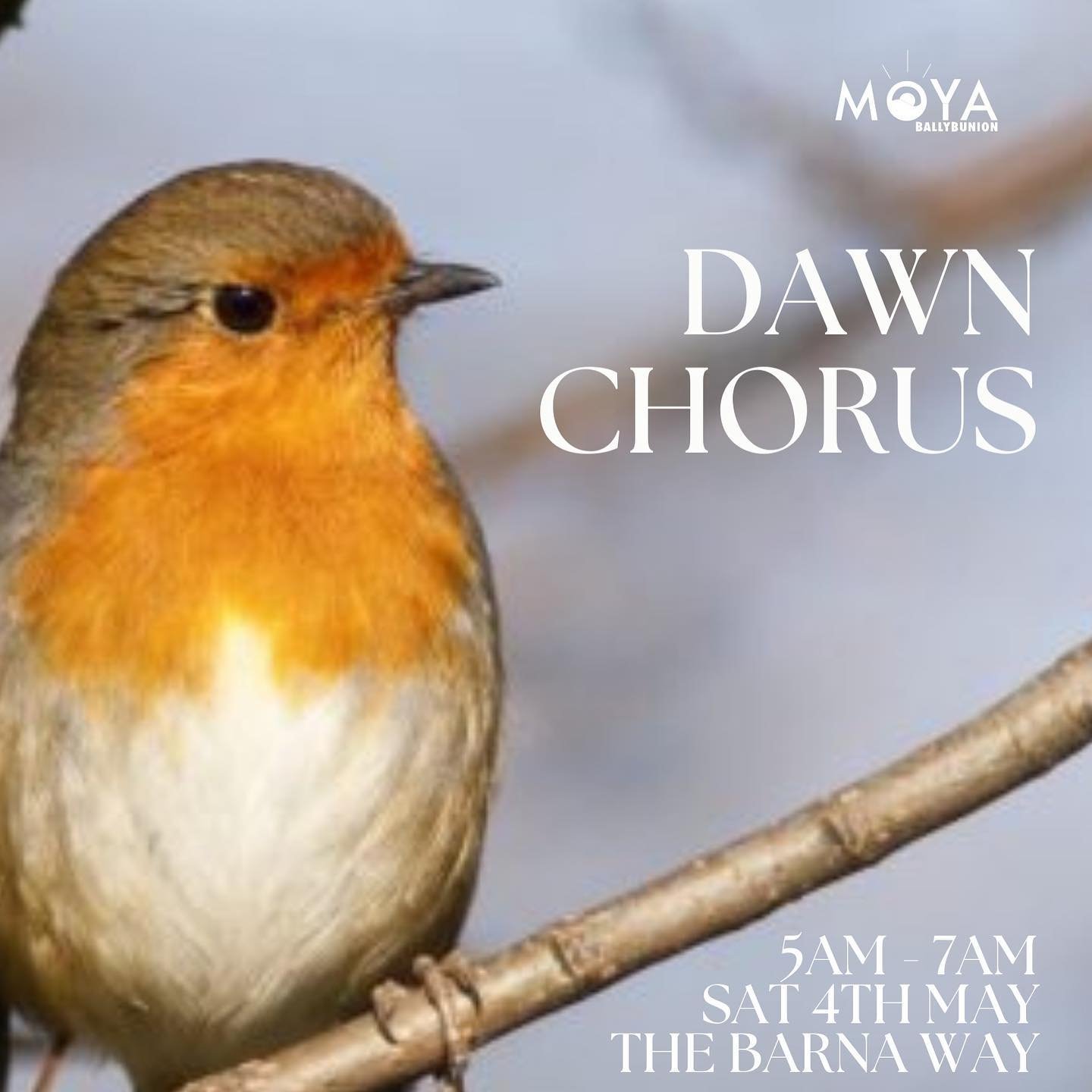 Dawn Chorus at the Barna Way 🐦 @thebarnaway 
@blake.rena_photography 
Saturday 4 May 2024
05:00  07:00
The Barna Way
V31 YK68 Ireland (map)

Join Rena at Barna for a beautiful 5am start, where you will experience the Dawn Chorus in the stunning surr