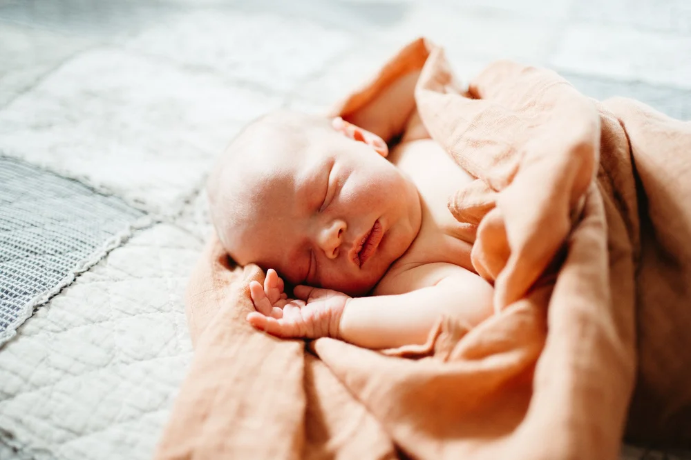 re edit gilberts photos  (83 of 92).jpg