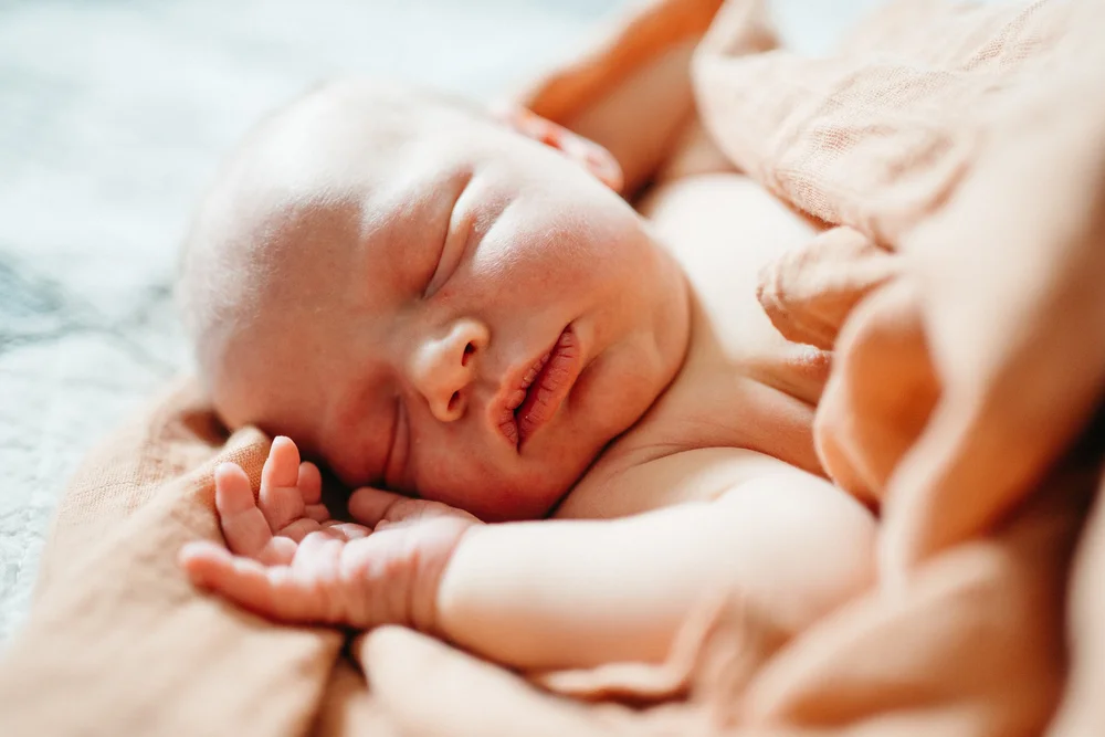 re edit gilberts photos  (84 of 92).jpg