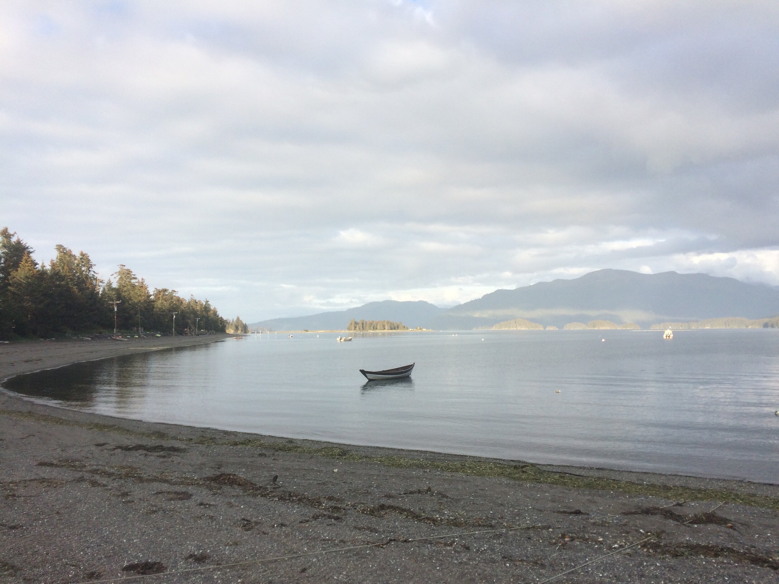 IMG_5728.jpeg