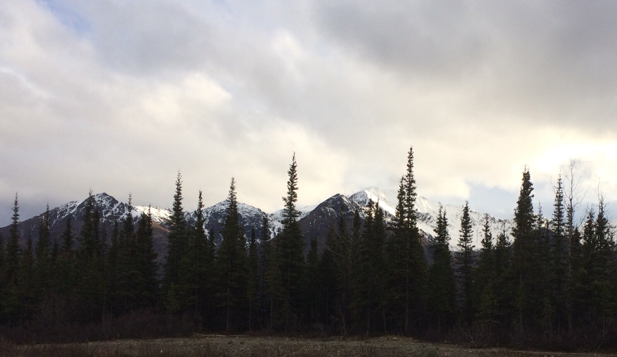IMG_0610.jpeg