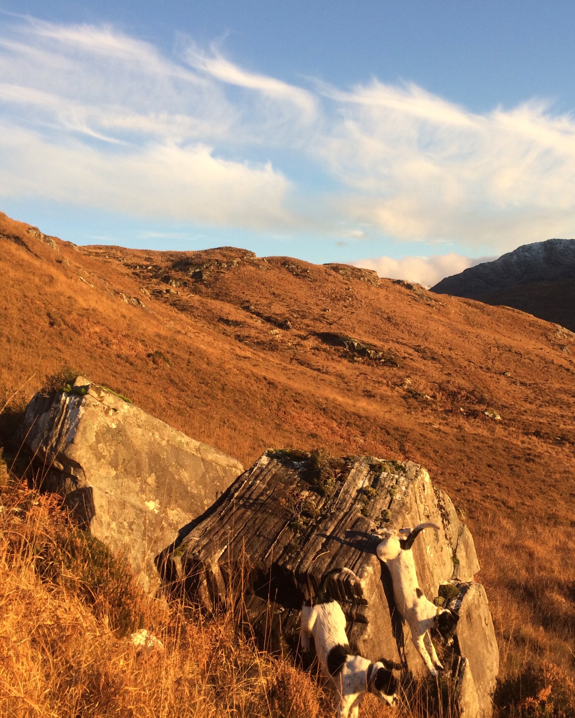 Hill walking opportunities completely surround the property.