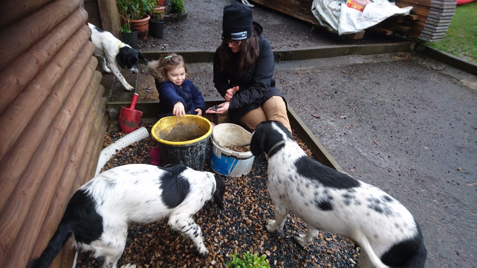 Everyone is interested in sorting stones, especially three year olds and pups.