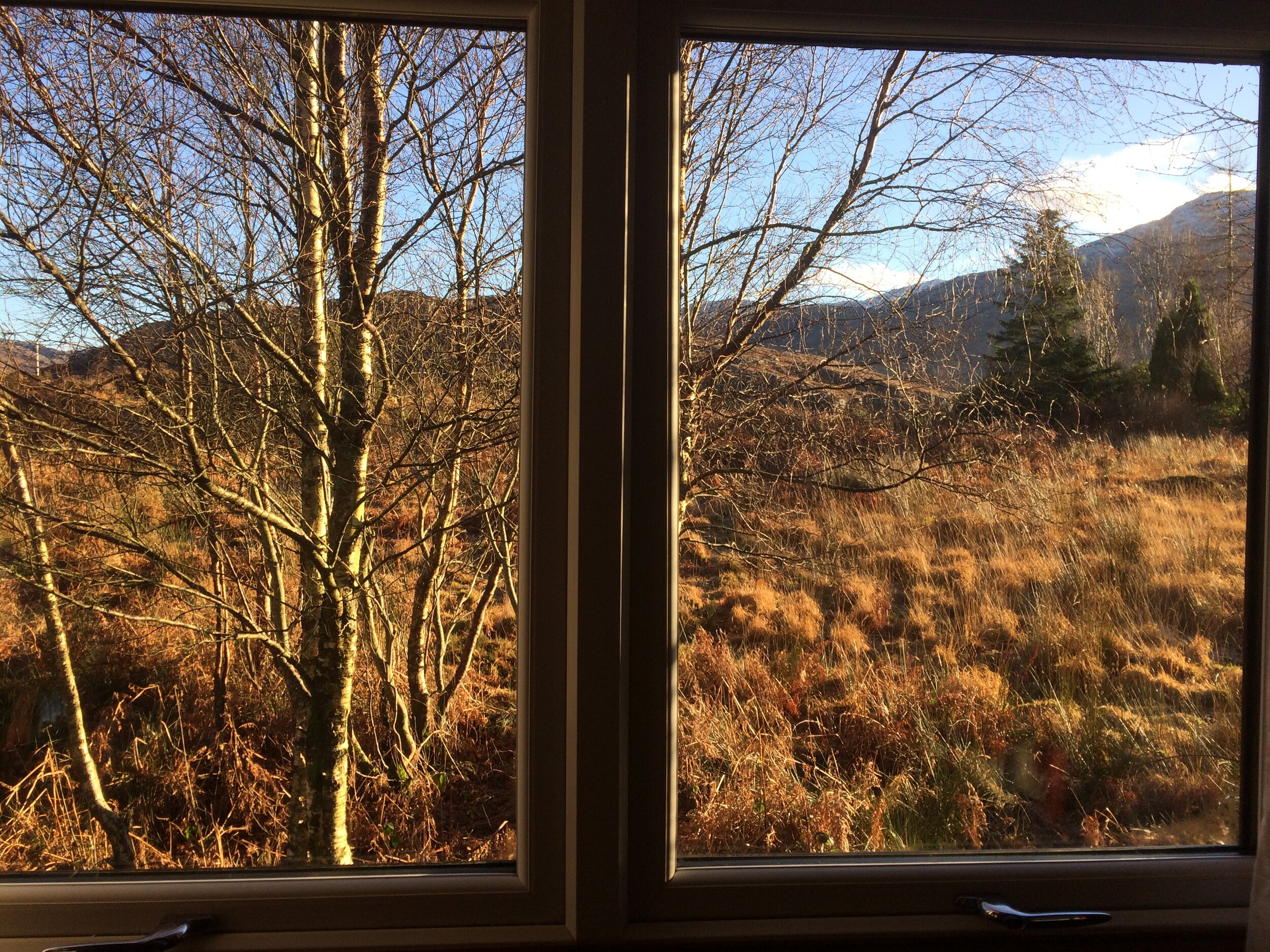 View from the wee cabin at Mo-Dhachaidh.