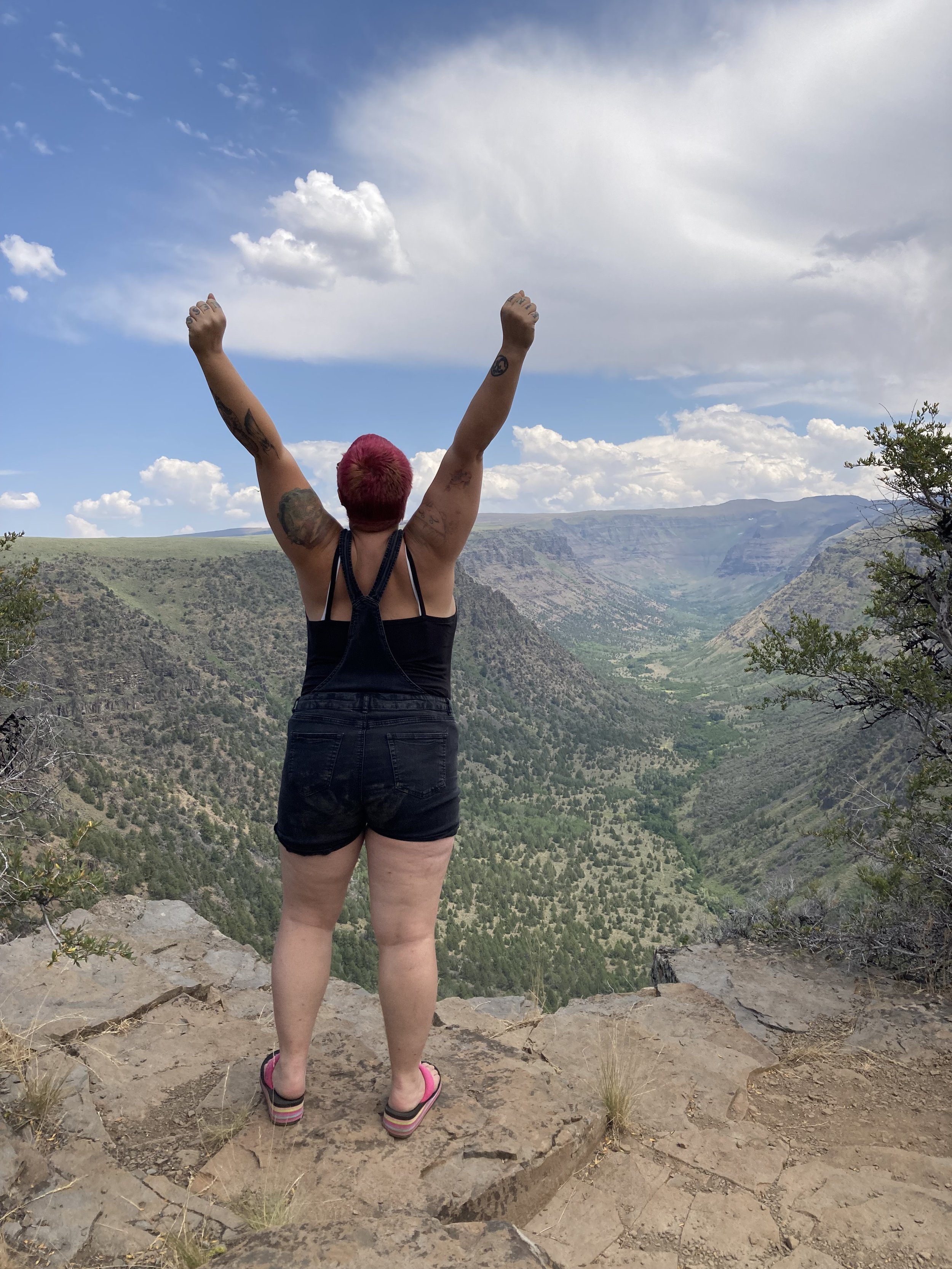 The magnificent Sid and majestic Big Indian Gorge from its lookout on Steens Mountain loop road.