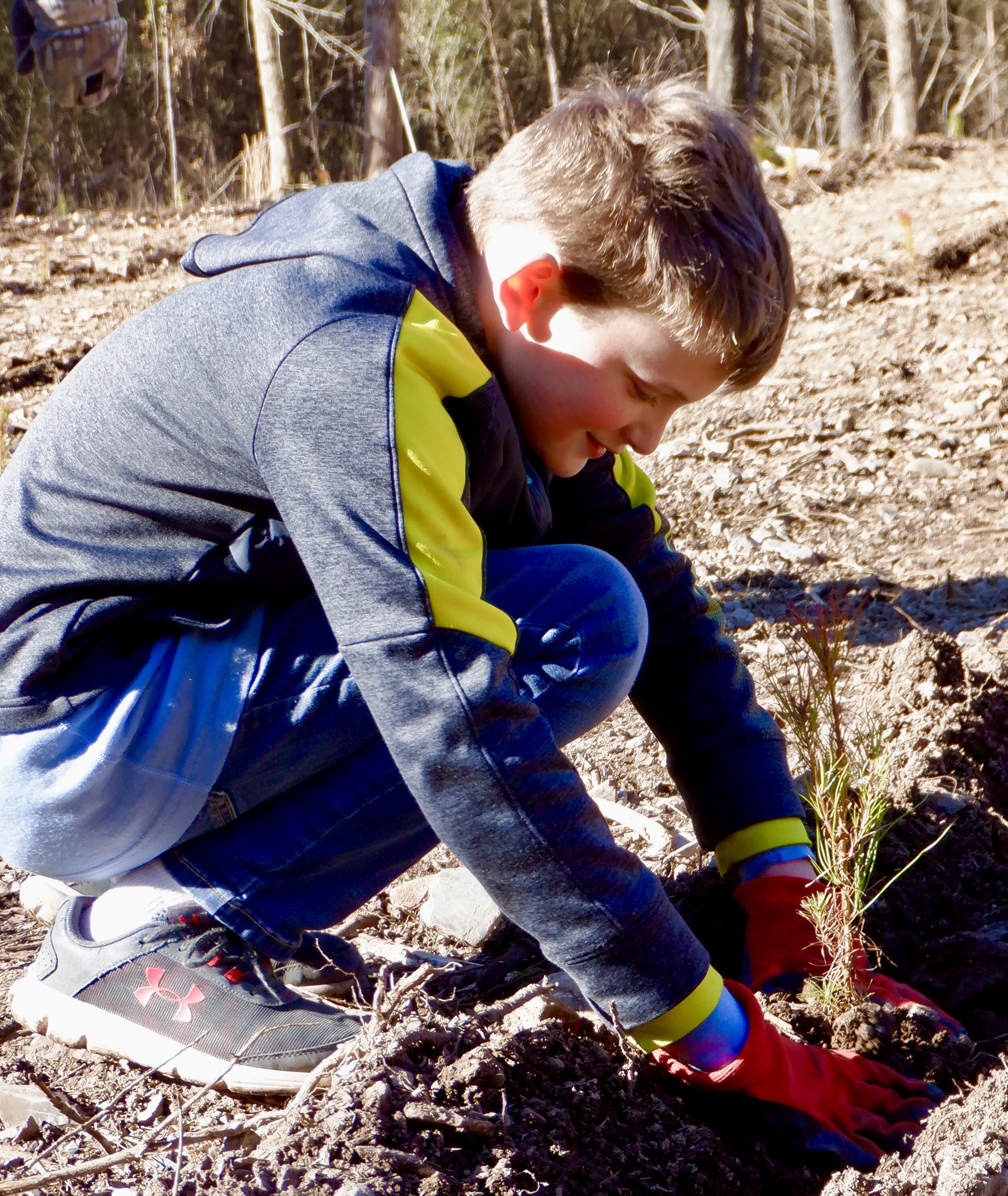 Nephew John-Michael Cameron plants a "10-year" pine in mid-January at Jones Valley, our family's nearly 100 year old camp in Caddo Gap, Arkansas.