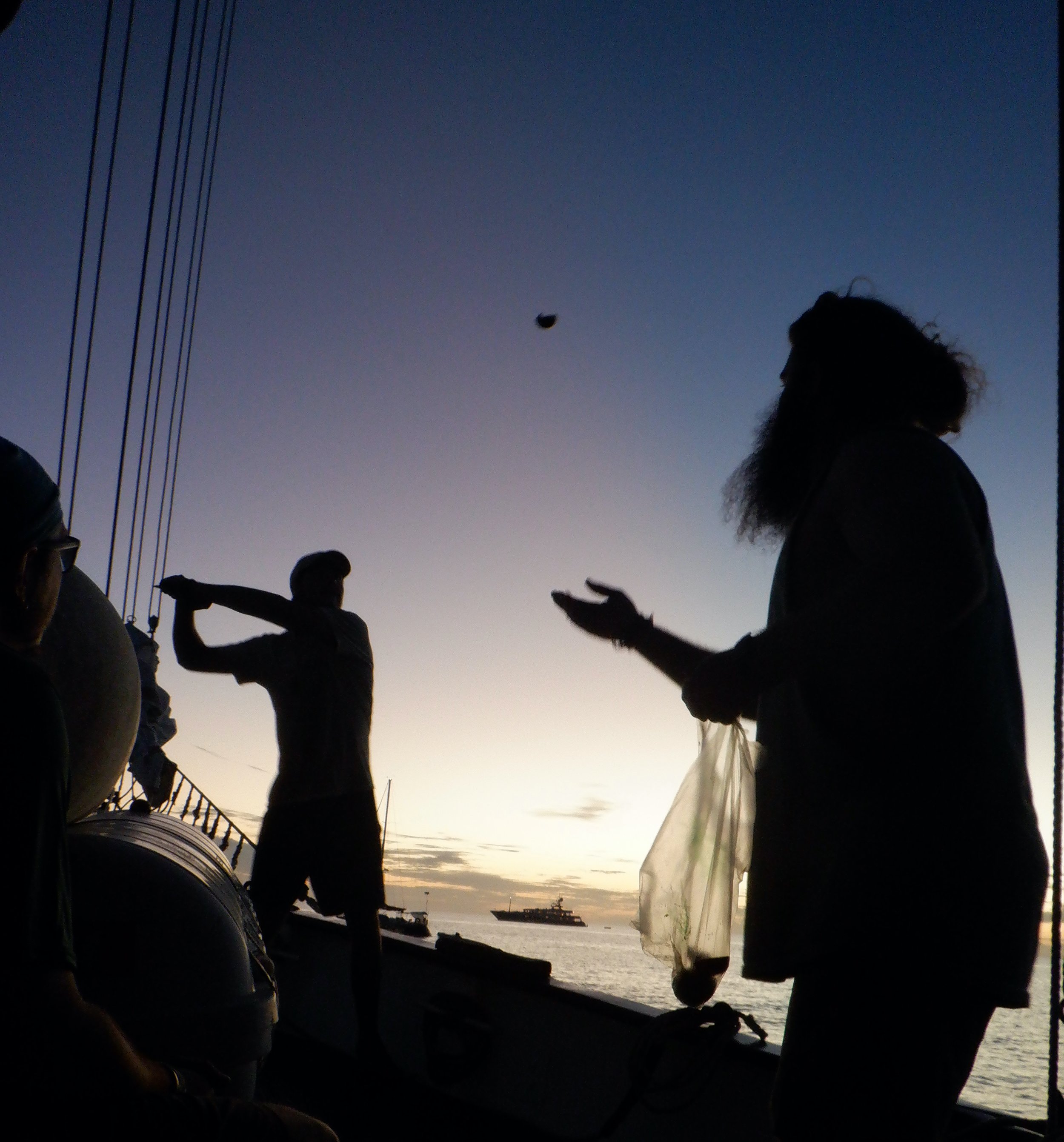 Taco Tuesday calls for weekly avocado pit batting practice off the side of the ship.