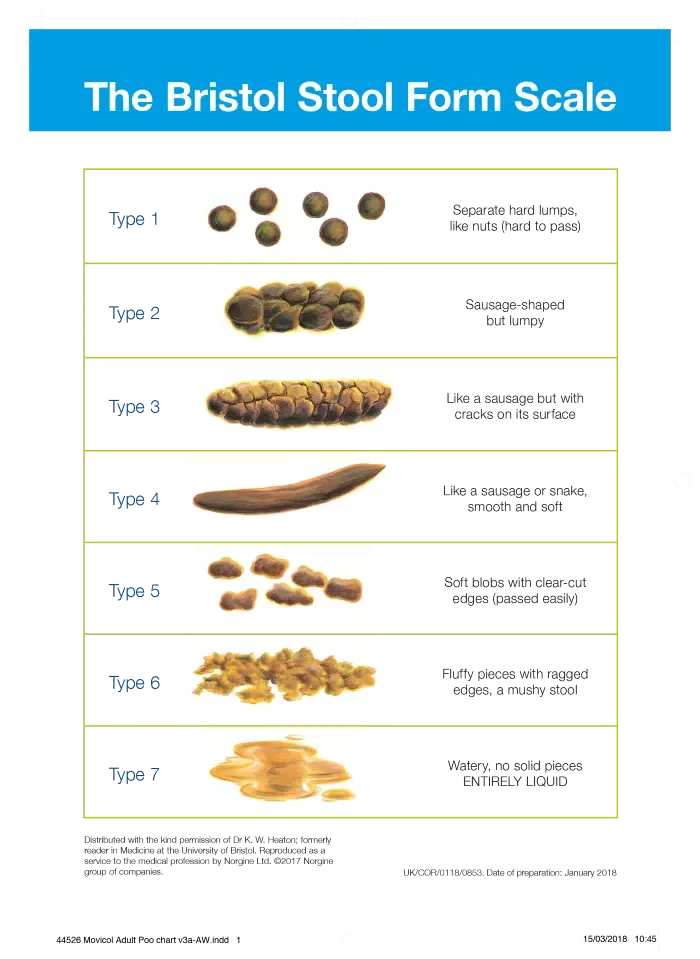 poop chart