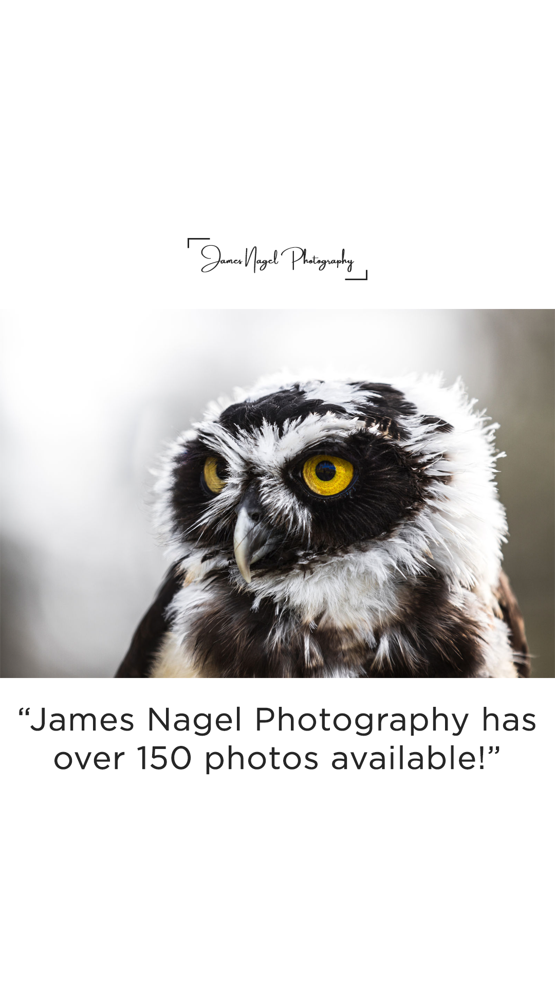 9-150-photos-available.png