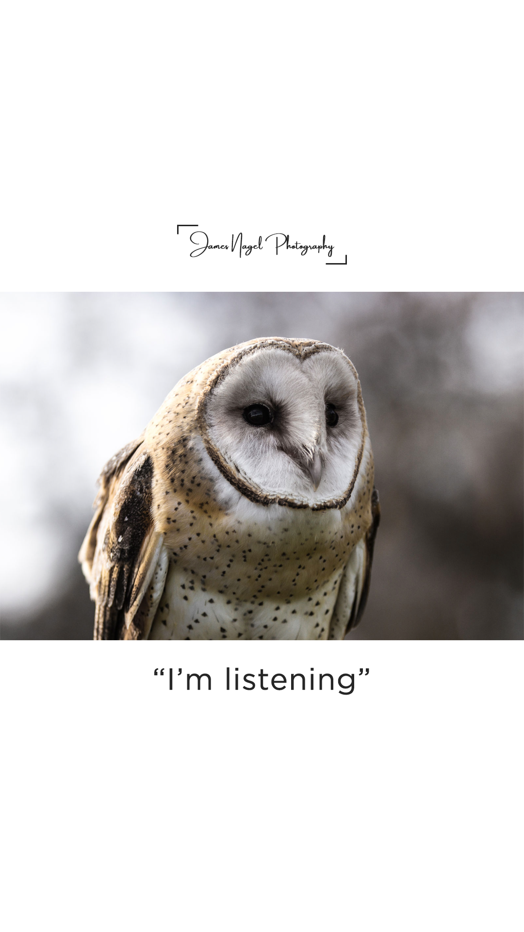 10-listening.png
