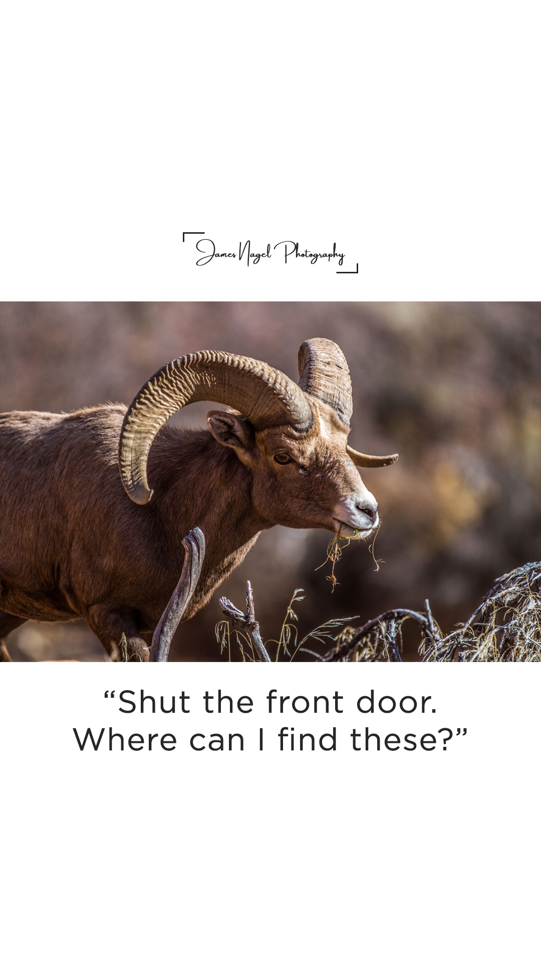 15-shut-door.png