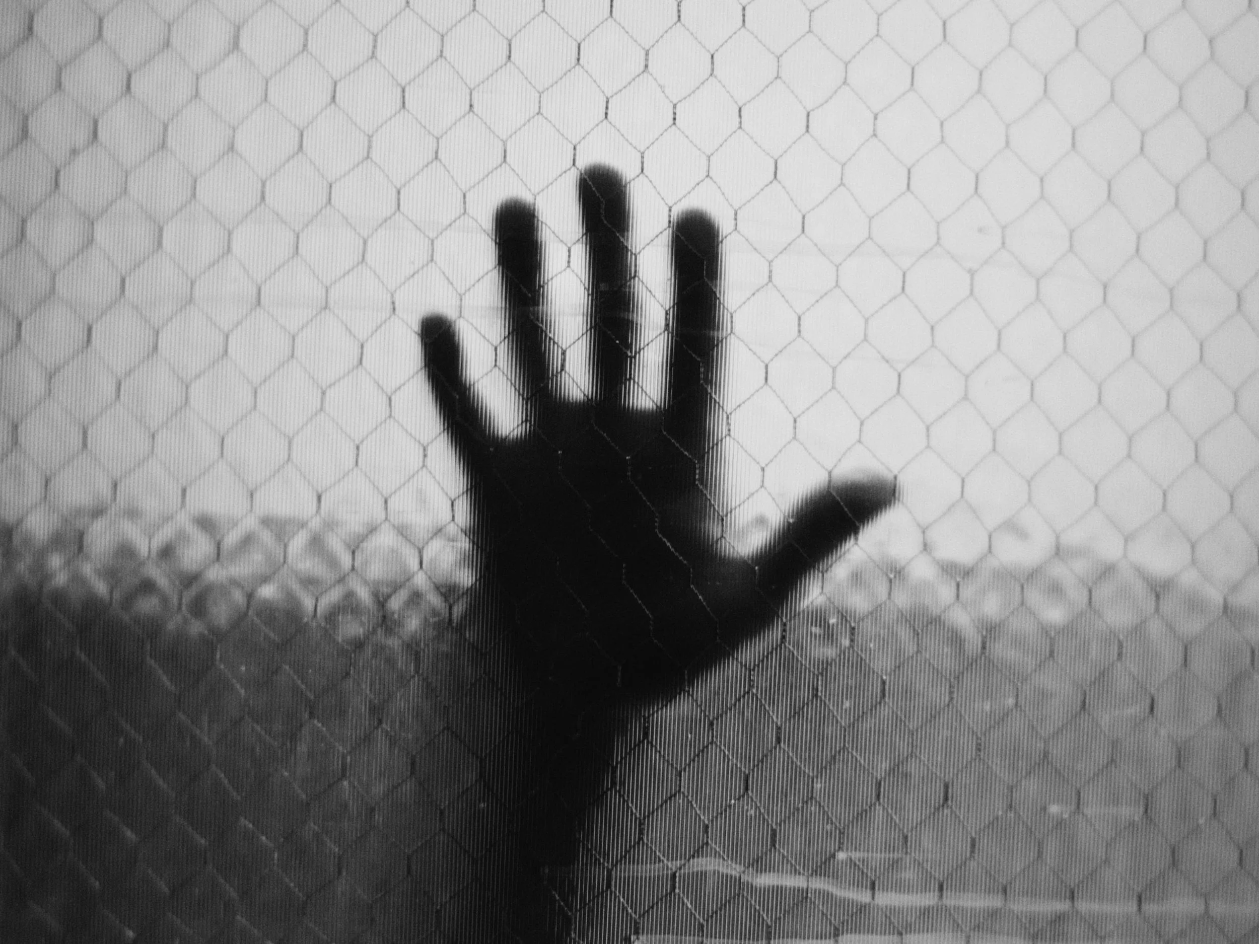 Still 2026-02-12 133047_2.2.1.JPG