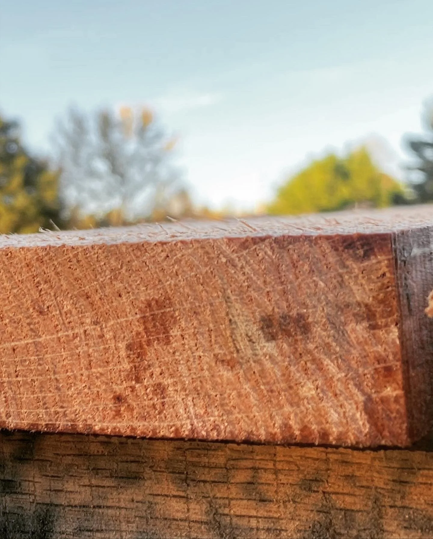 Lumber — Yadkin Valley Trees