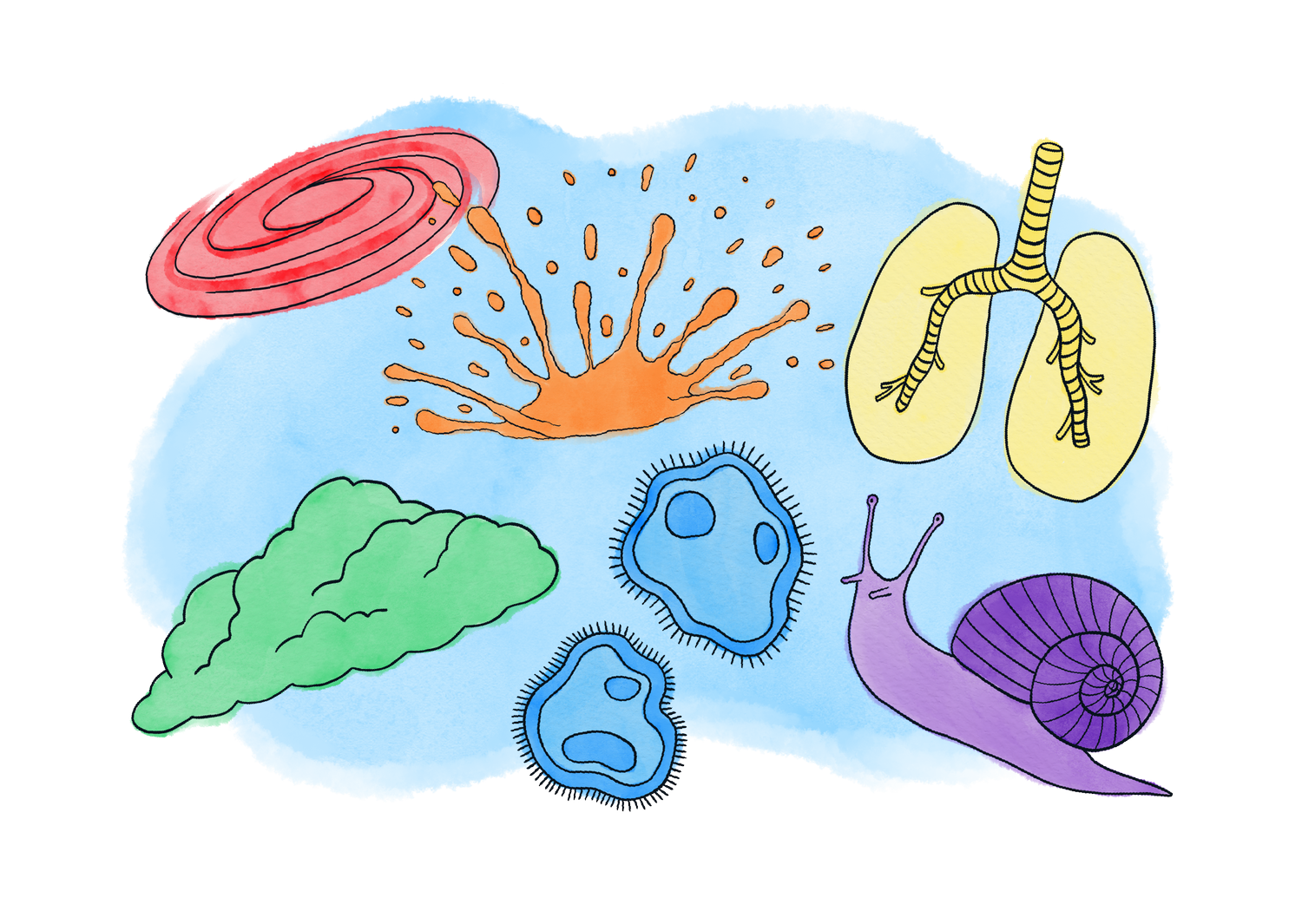 Science — Science is Weird