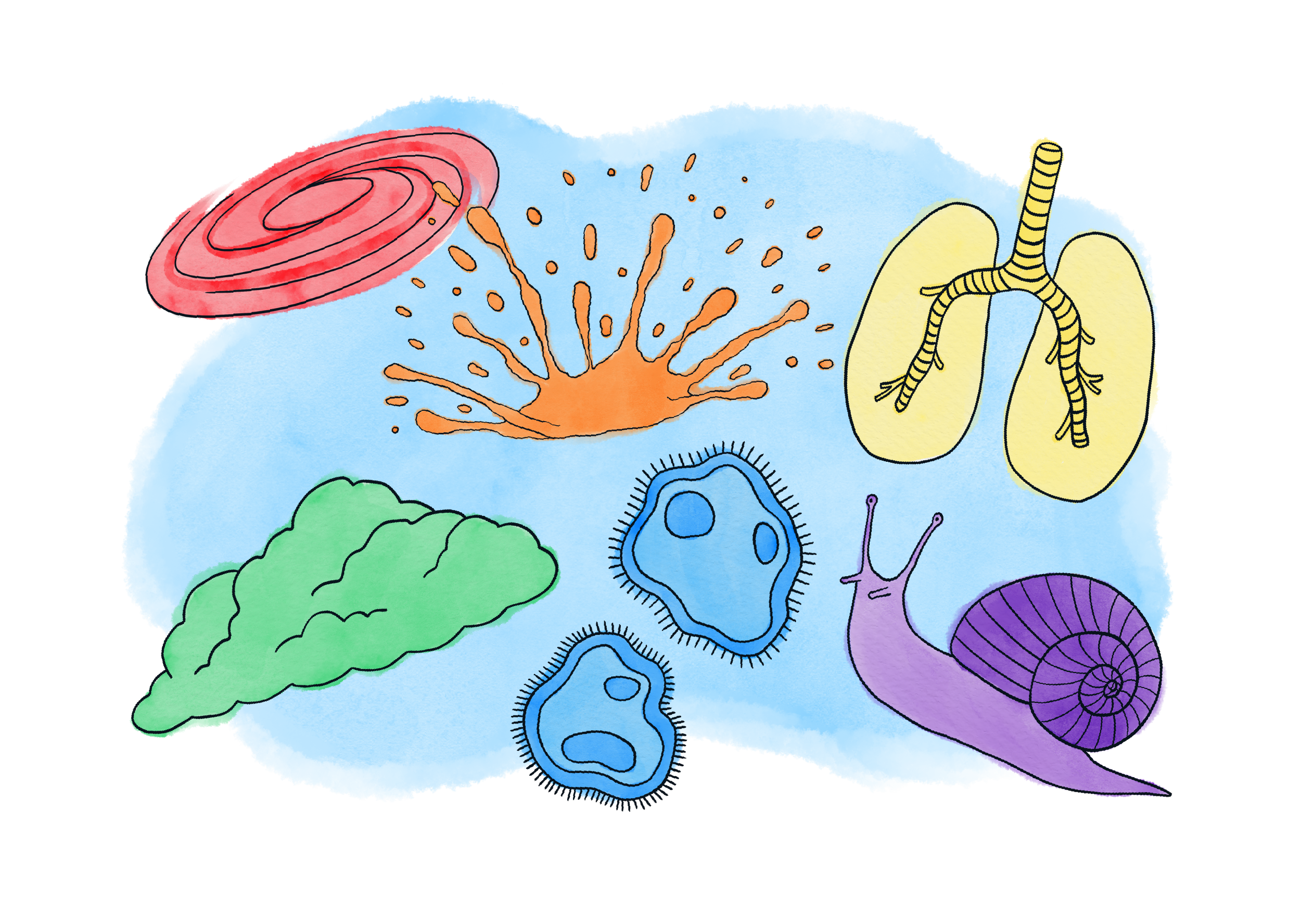 Science — Science is Weird