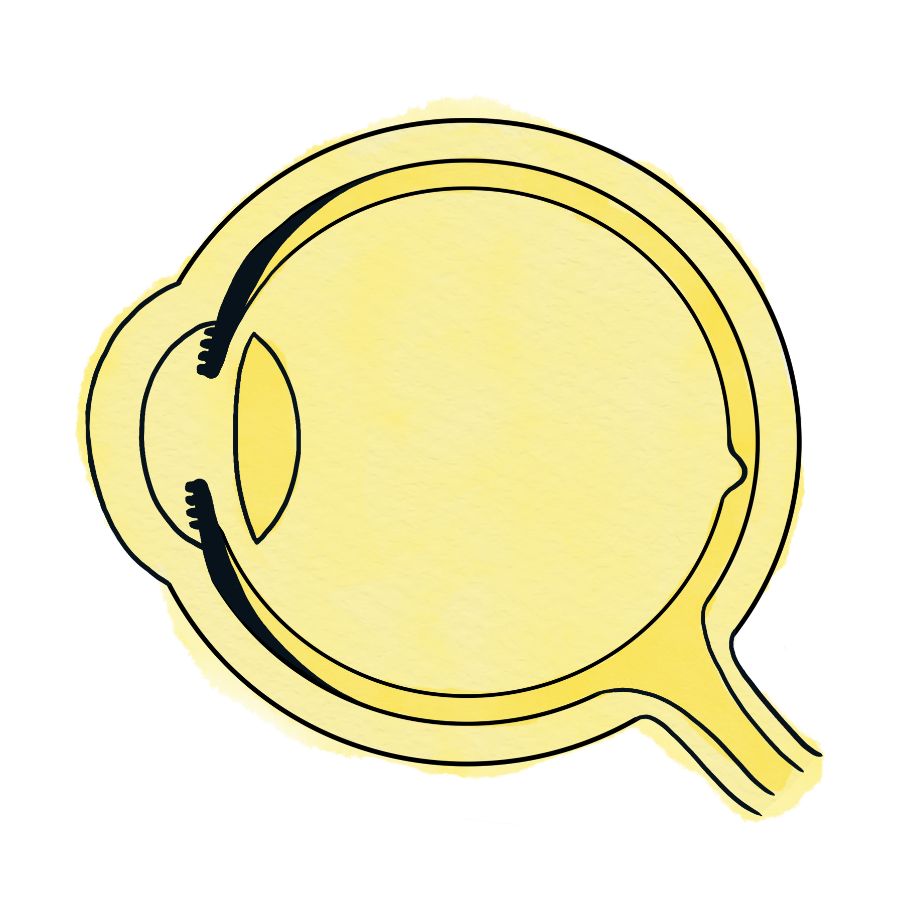 Topic 9: Eyes