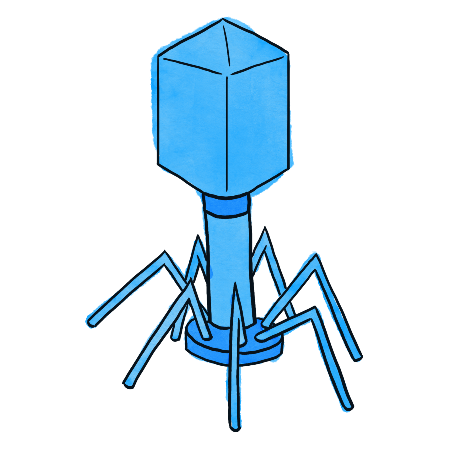 Topic 17: Viruses