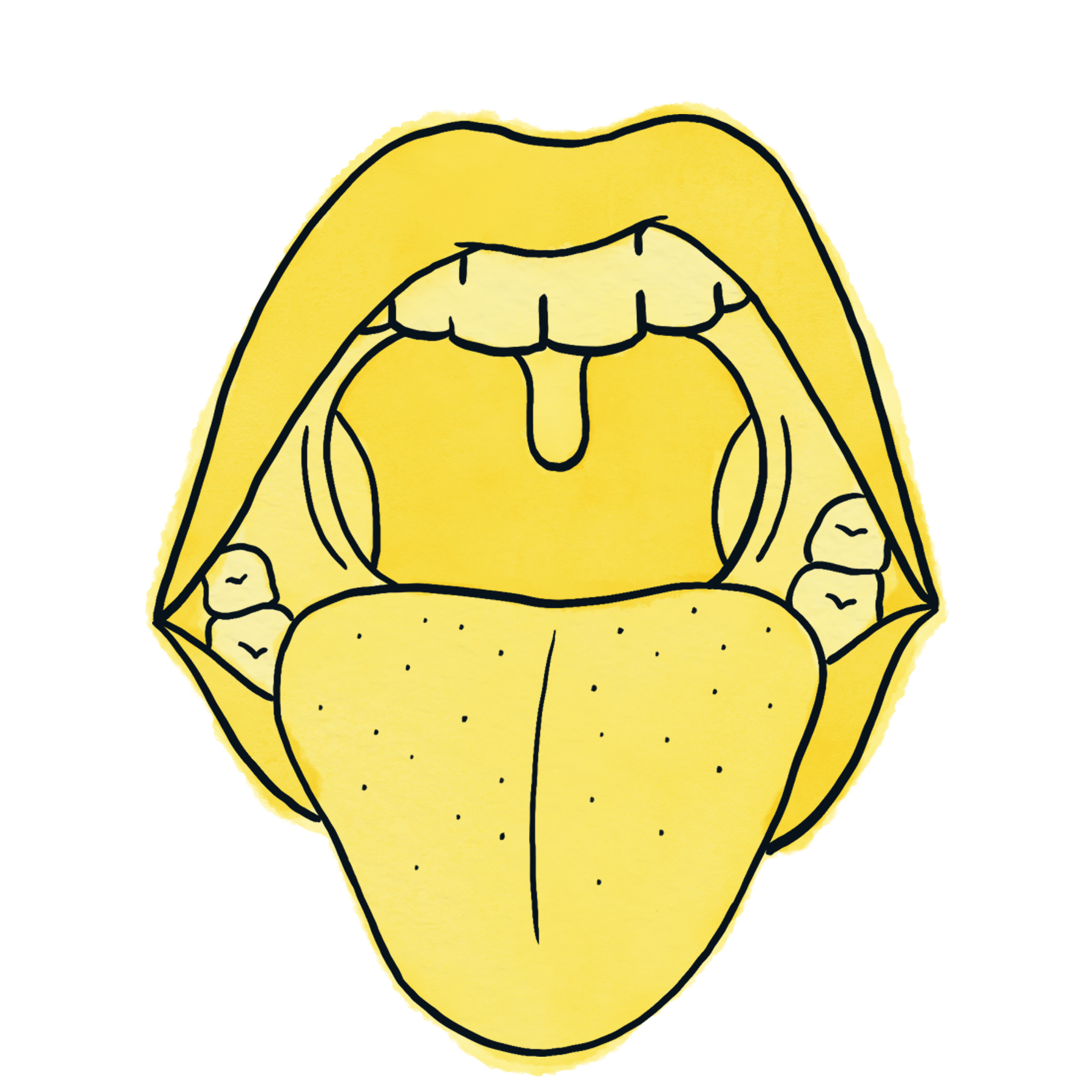 Topic 15: Mouths
