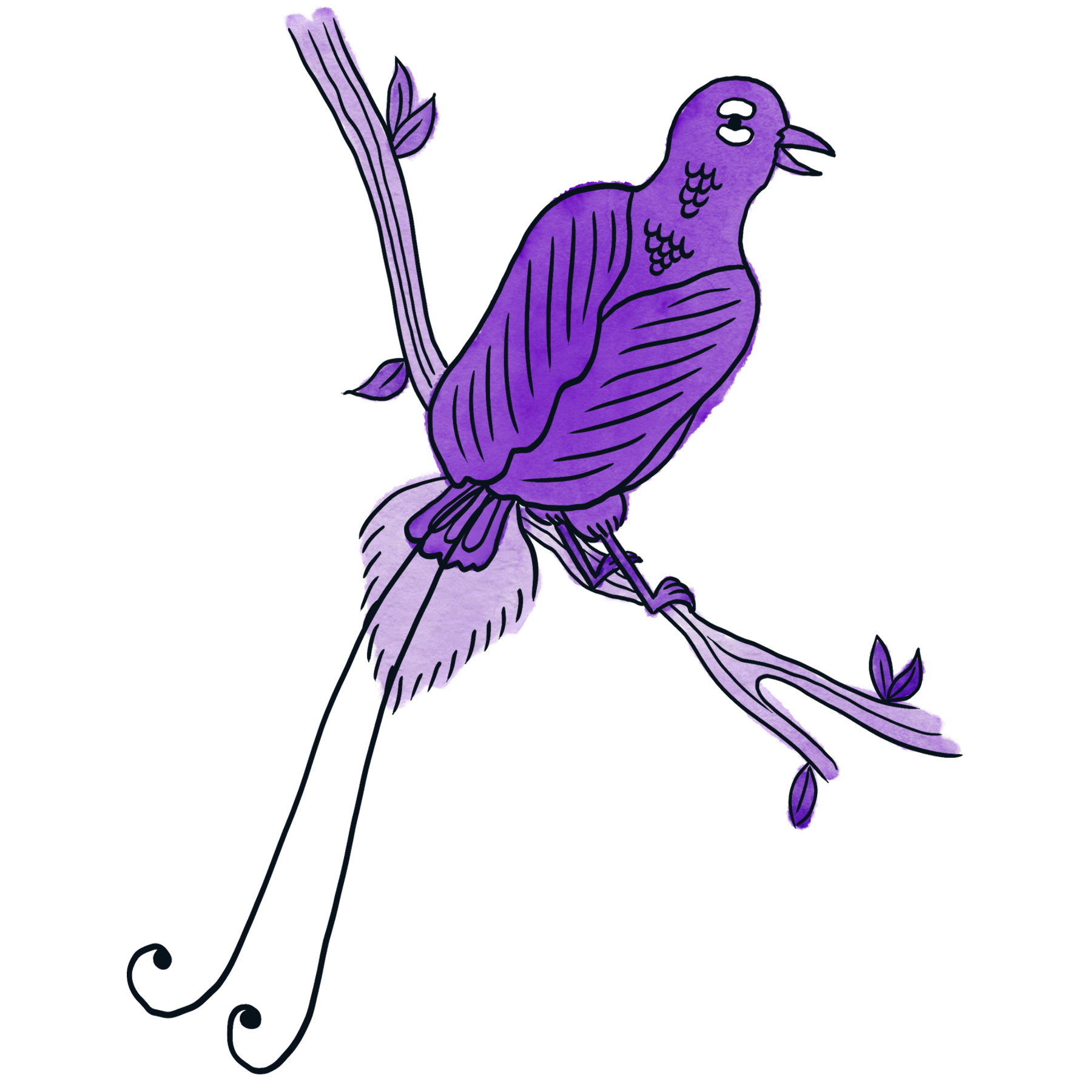 Topic 18: Evolution
