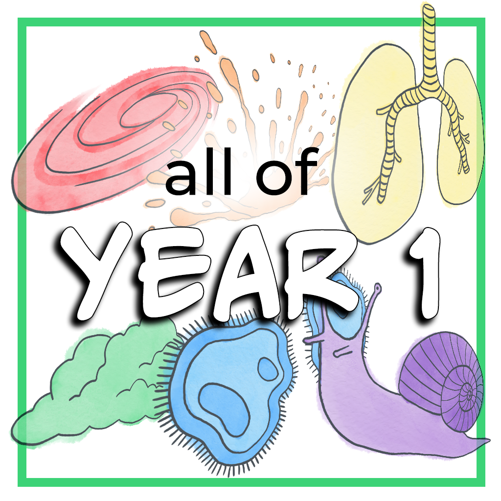 Year 1 Bundle