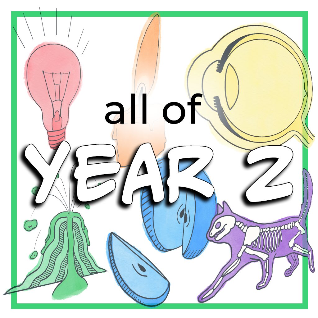 All of YEAR 2