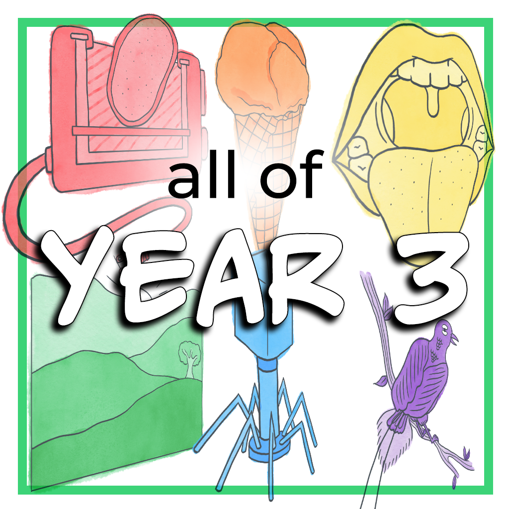 All of YEAR 3