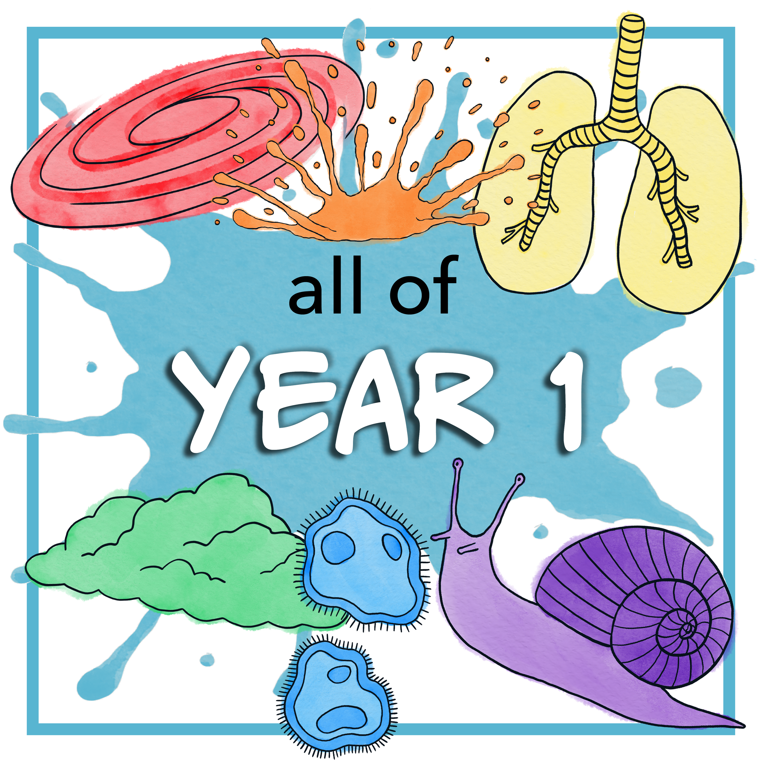 All of YEAR 1