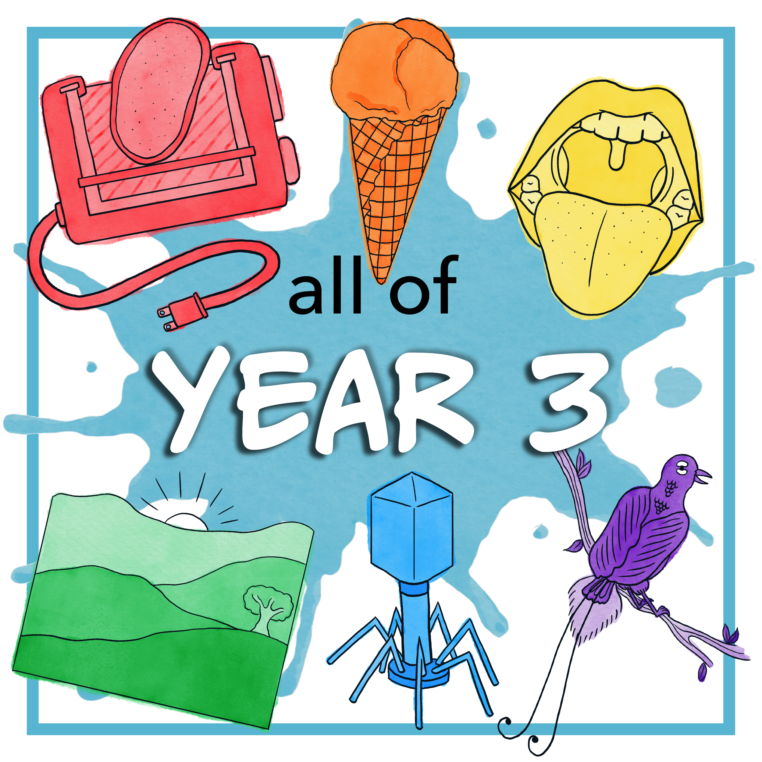 All of YEAR 3