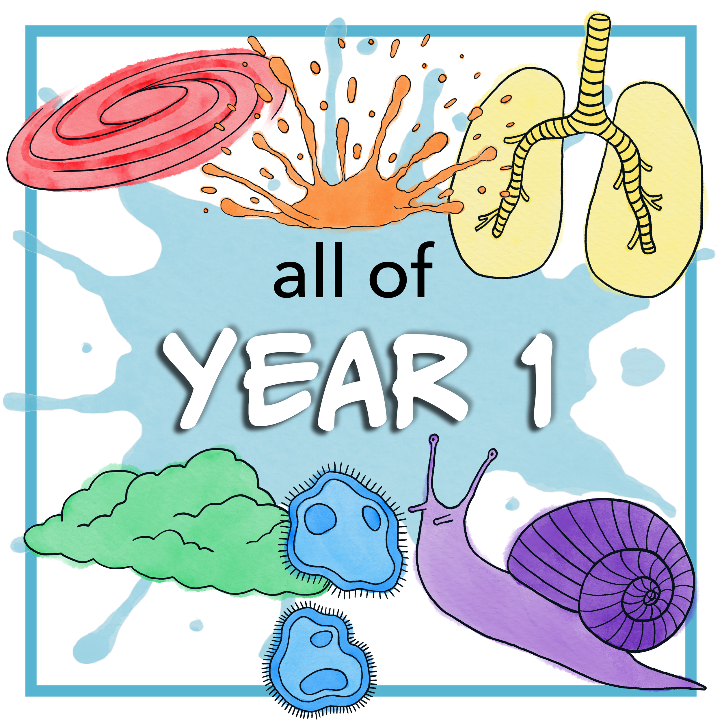 All of Year 1